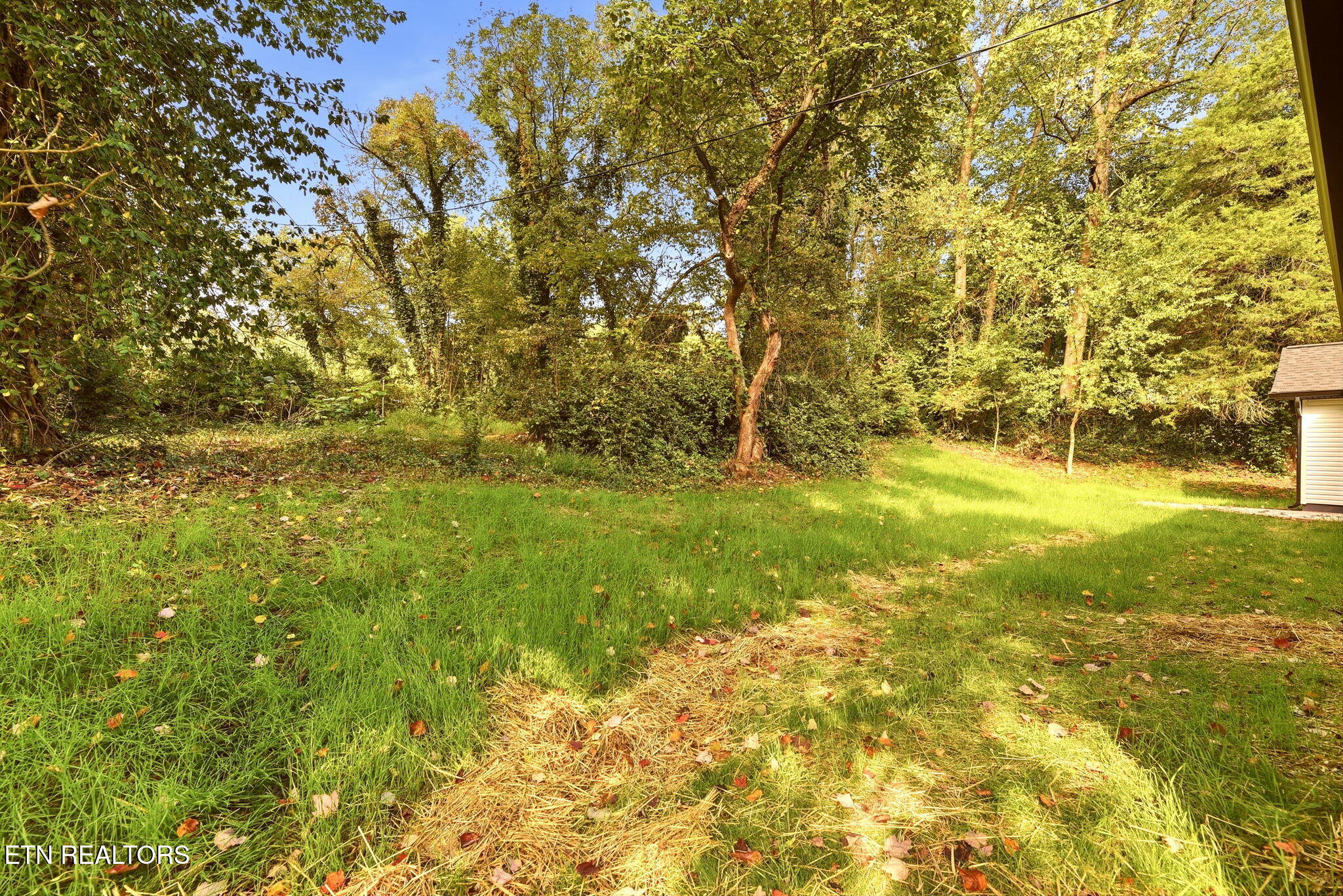 605 Forest View Road Knoxville TN 37919