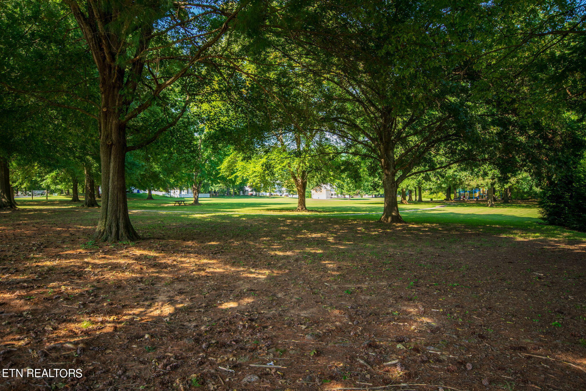 115 Capital Circle Oak Ridge TN 37830