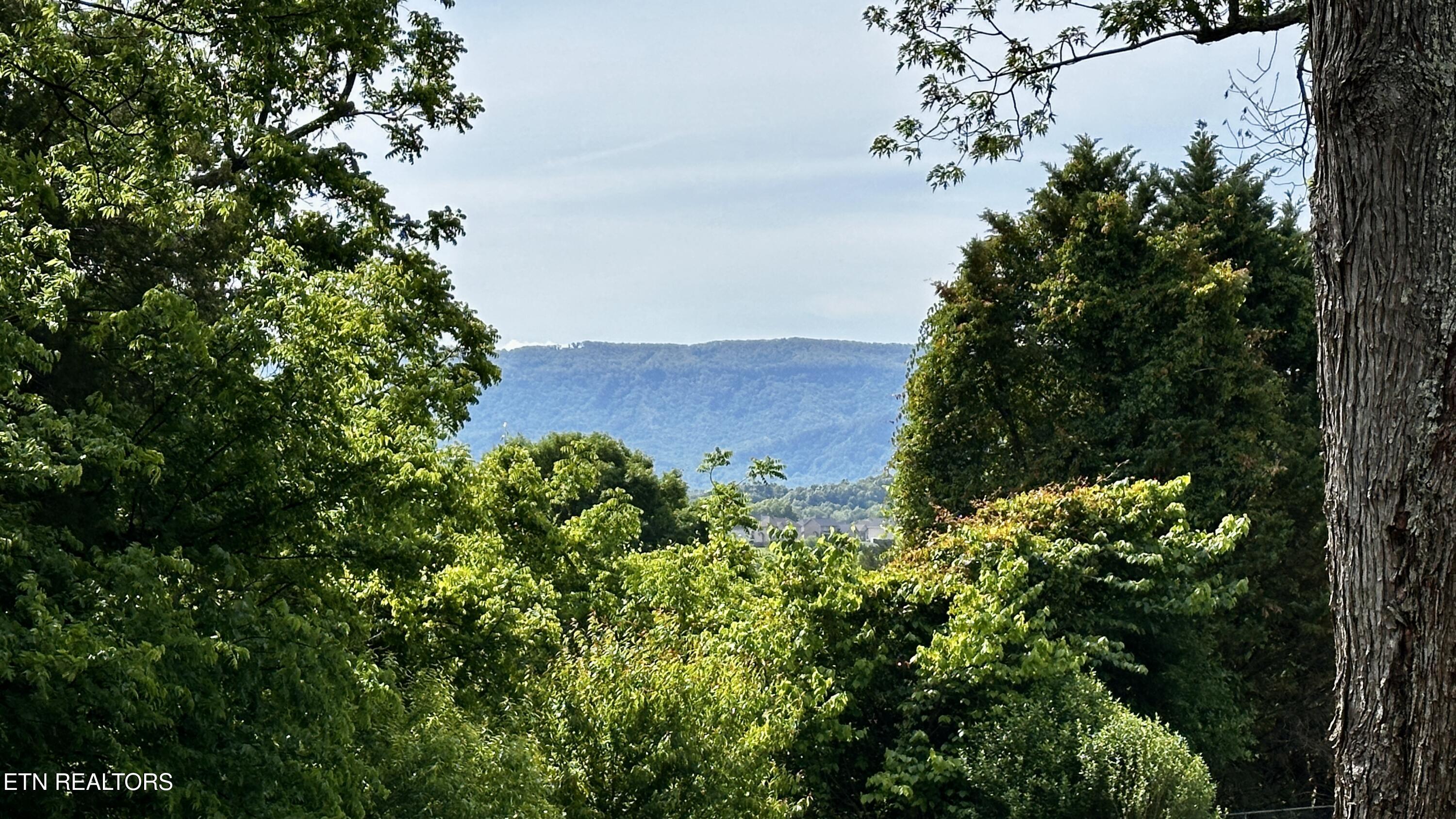 238 Mohawk Circle Seymour TN 37865