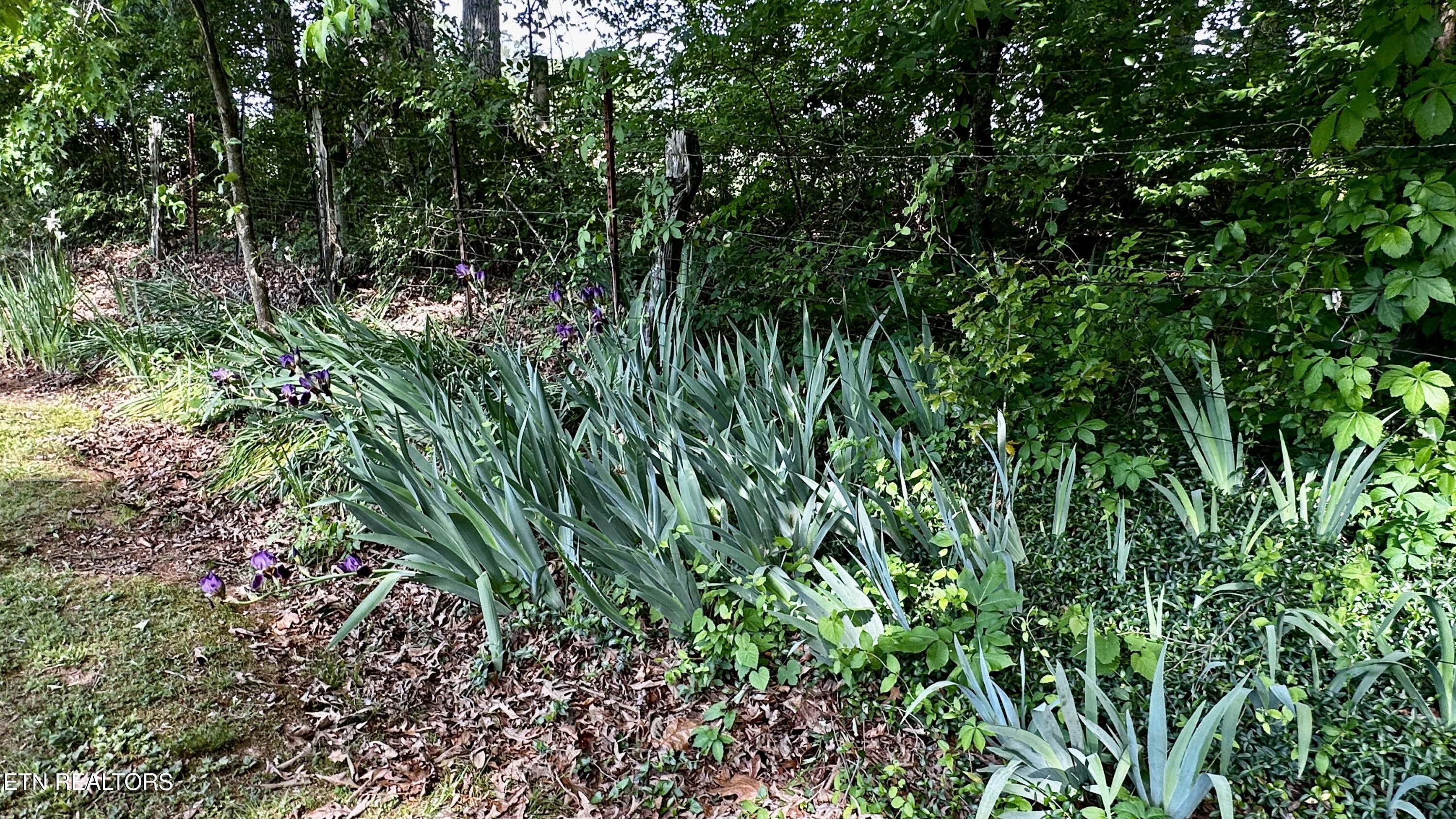 238 Mohawk Circle Seymour TN 37865