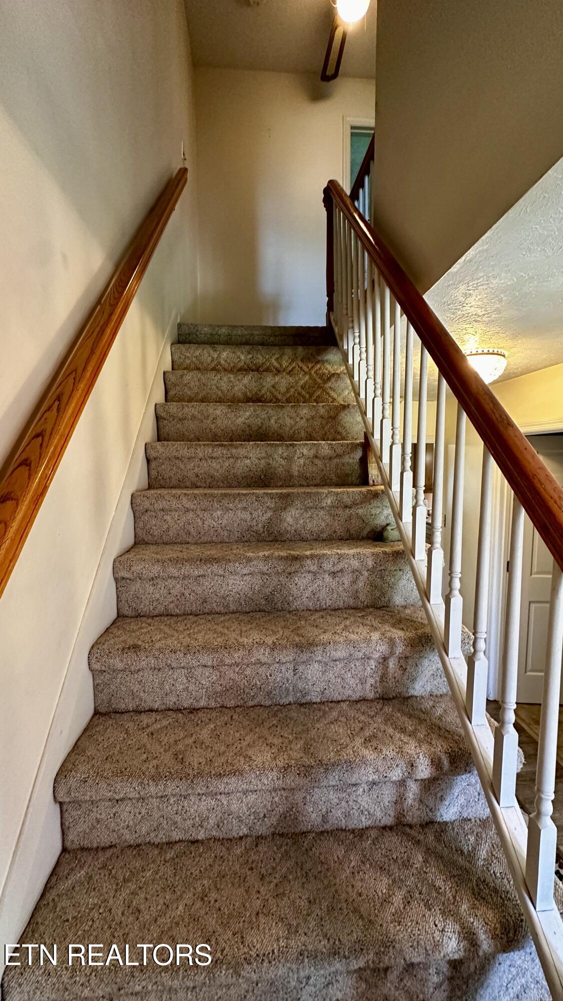 238 Mohawk Circle Seymour TN 37865