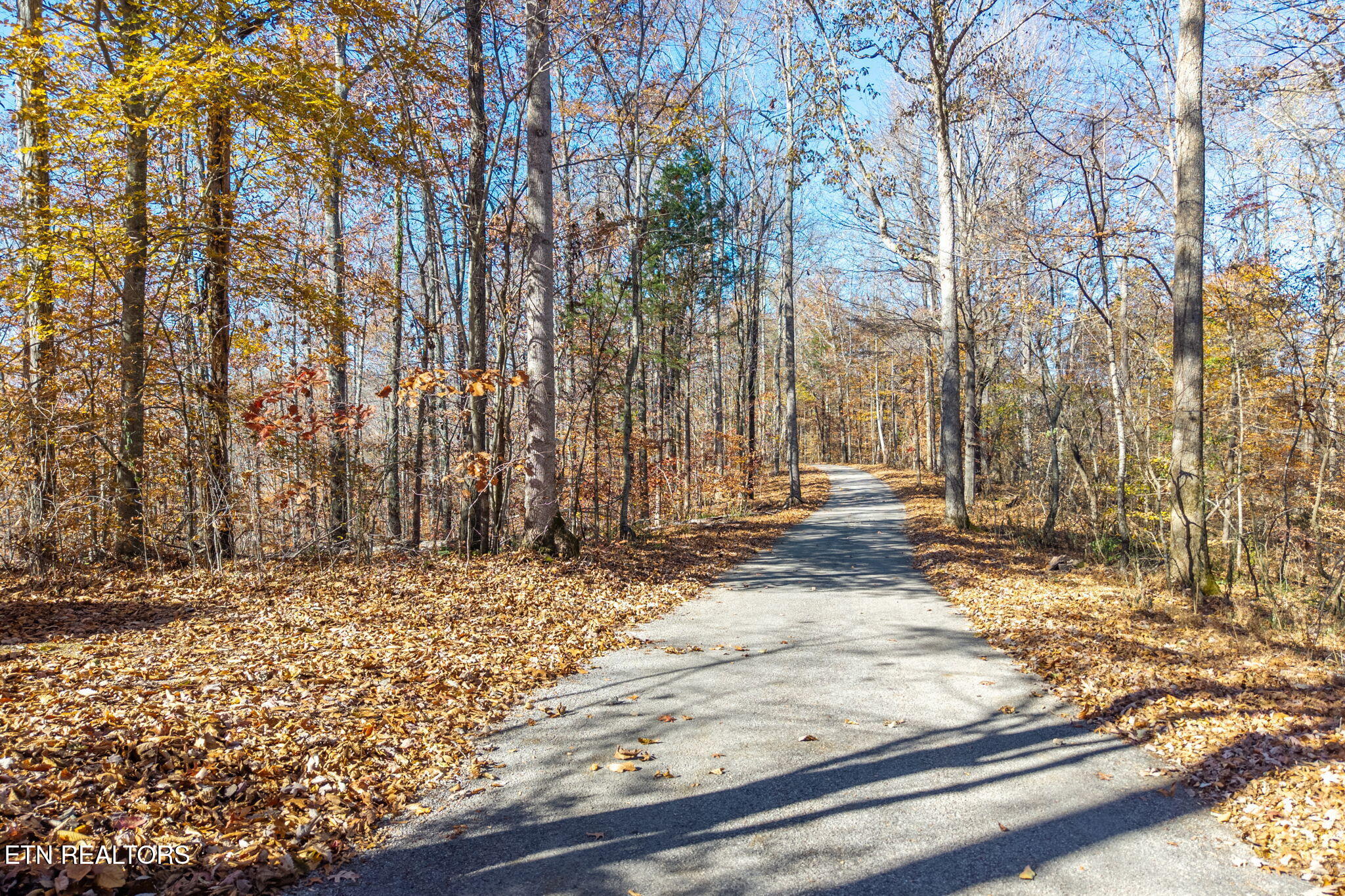 353 Red Bud Lane Hilham TN 38568