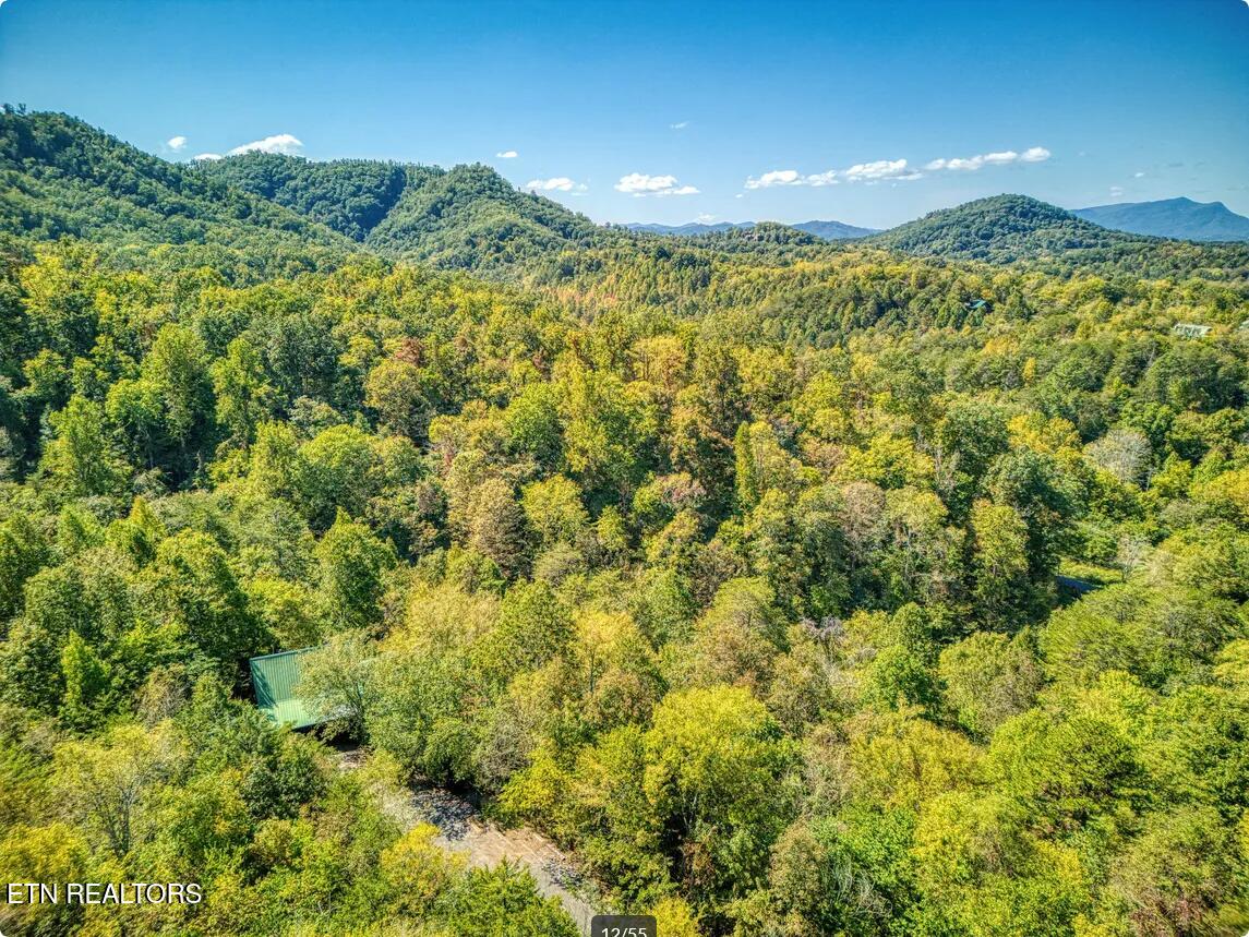 1815 Maranohe Way Sevierville TN 37862