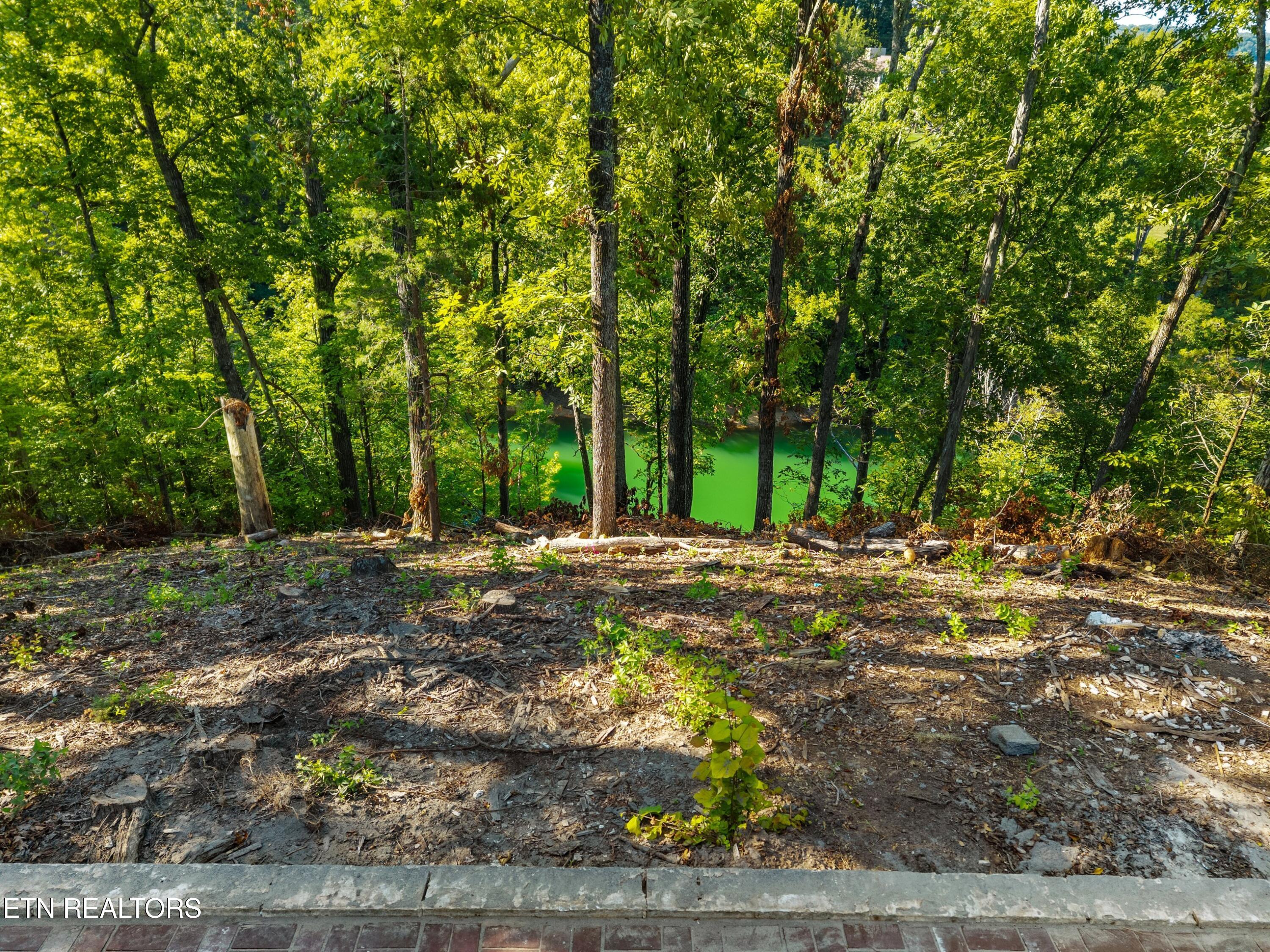 1928 Bouldercrest Drive Dandridge TN 37725