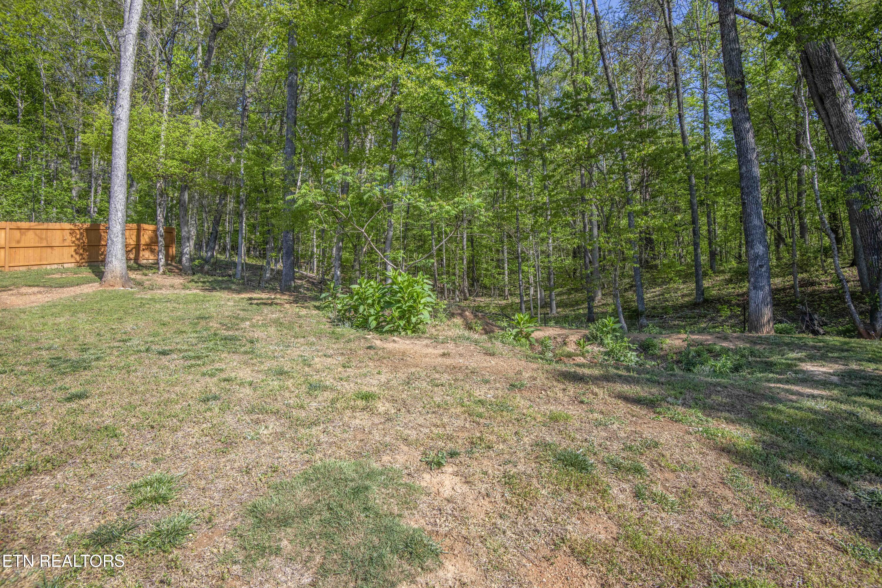 320 Signet Lane Maynardville TN 37807