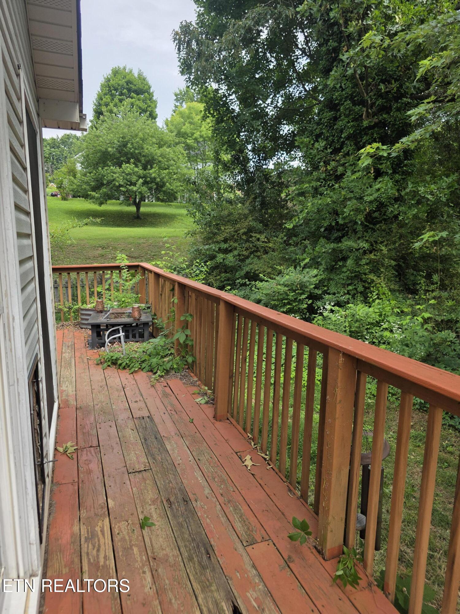 7807 Squirrel Lane Powell TN 37849