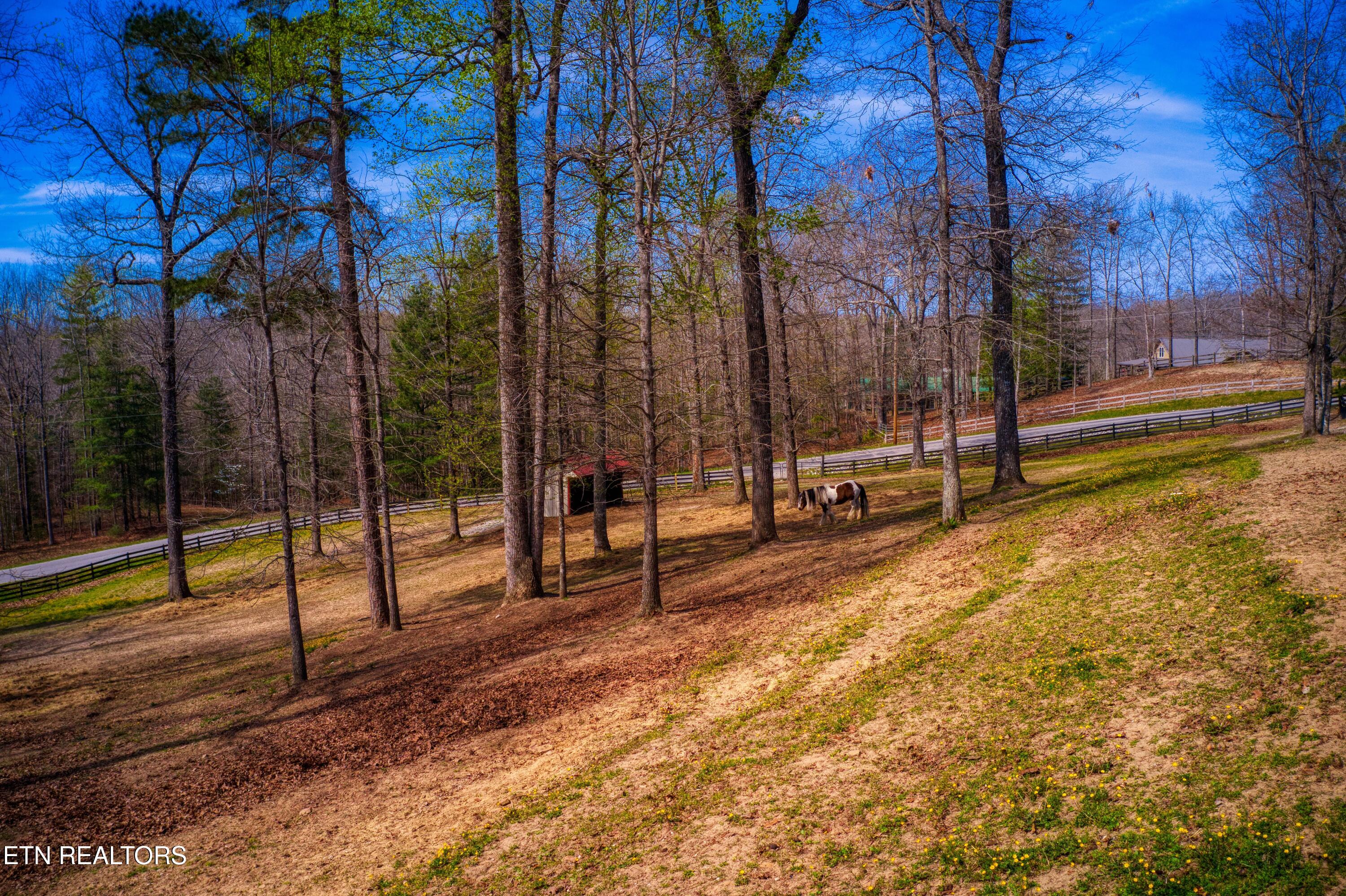 538 Spruce Creek Drive Jamestown TN 38556