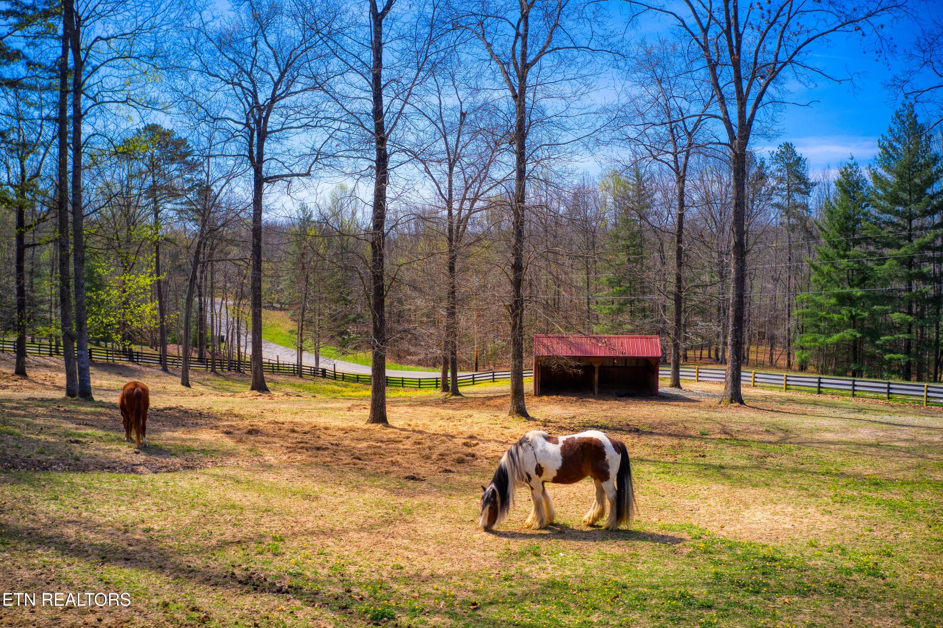 538 Spruce Creek Drive Jamestown TN 38556