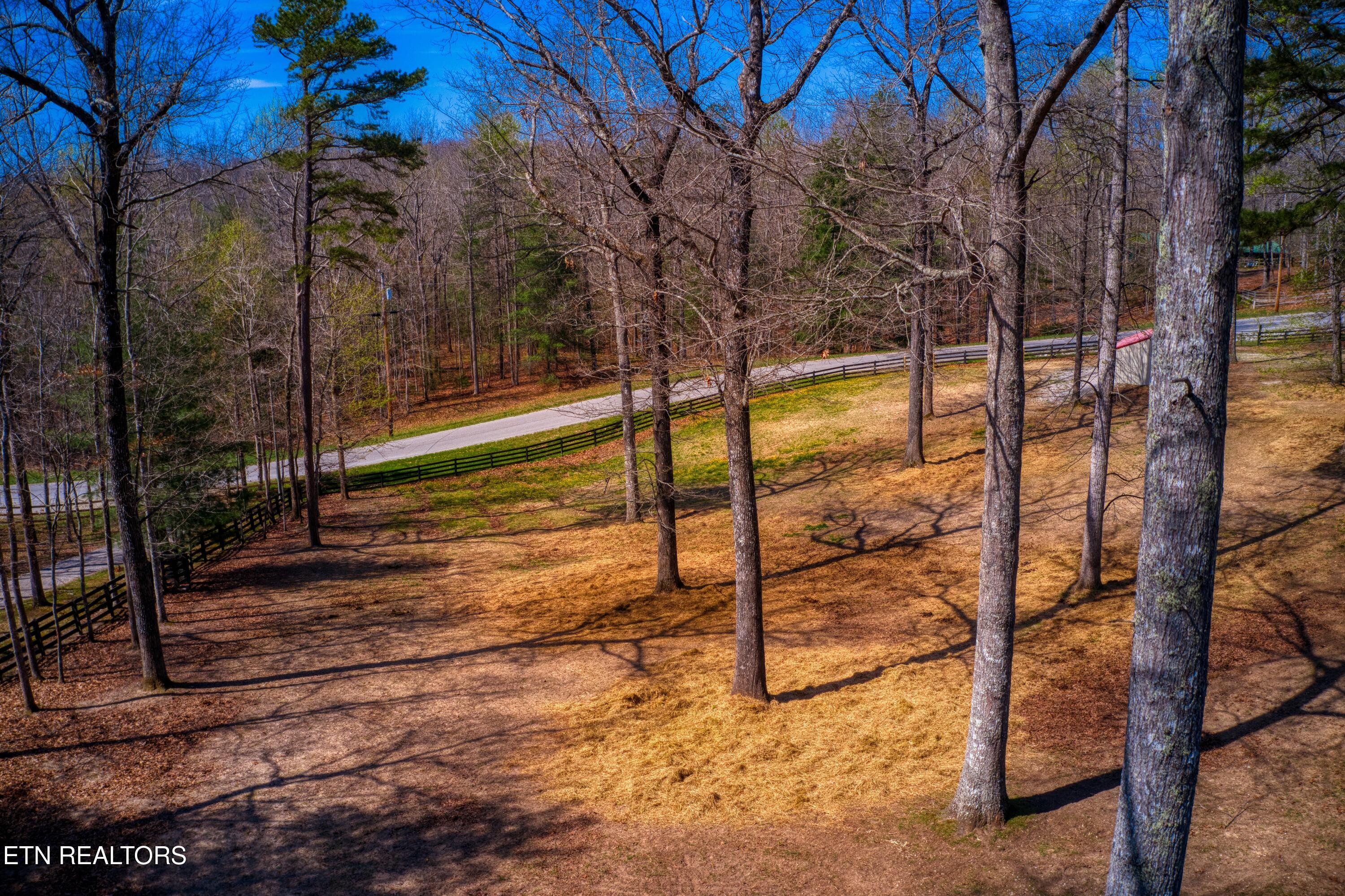 538 Spruce Creek Drive Jamestown TN 38556
