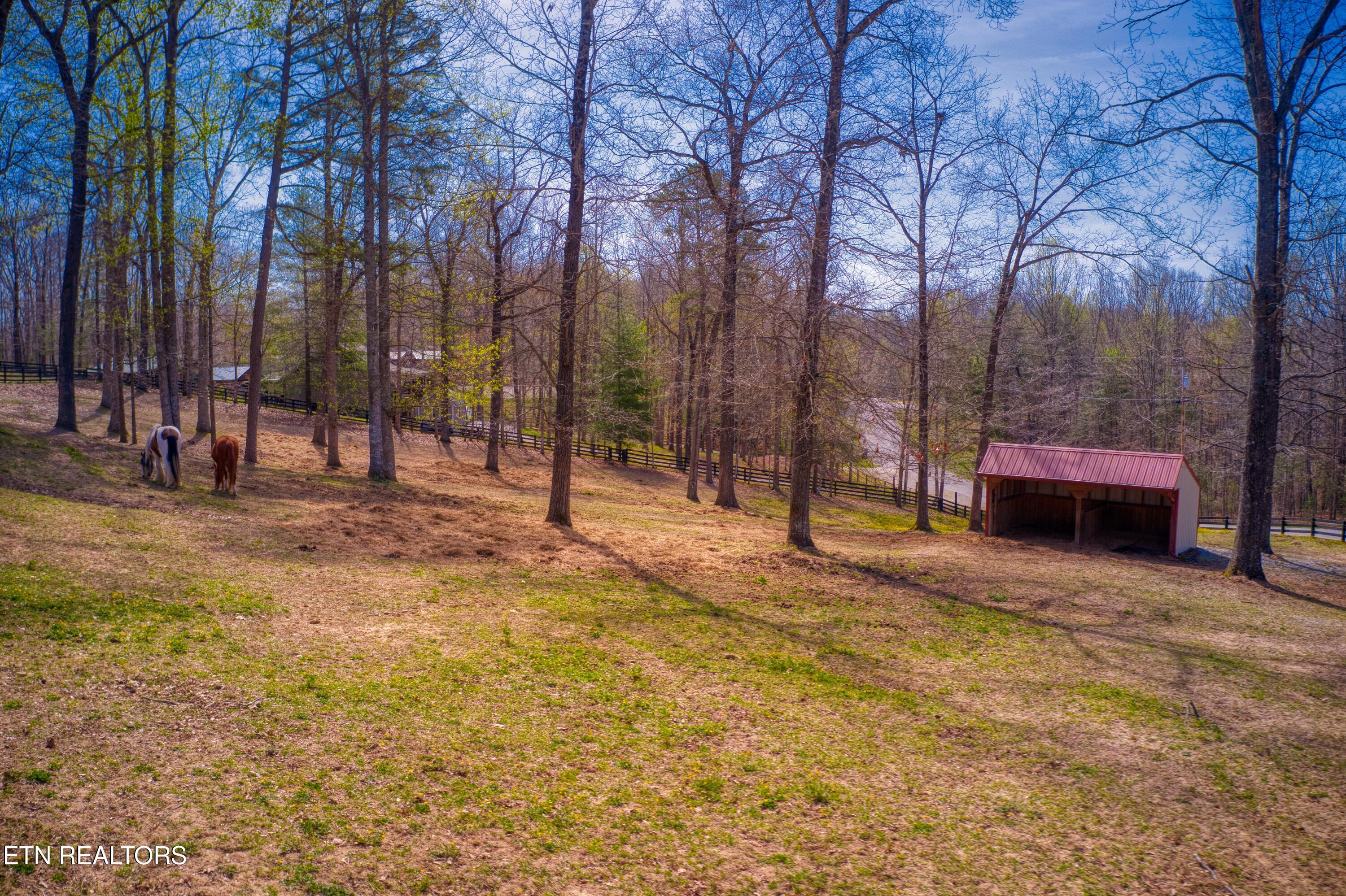 538 Spruce Creek Drive Jamestown TN 38556
