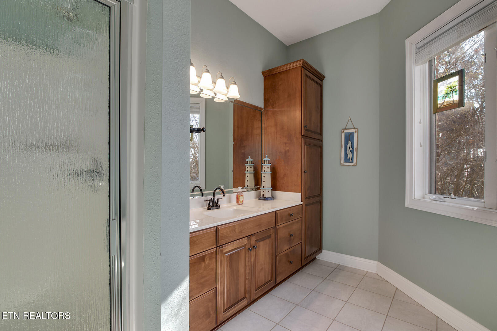 207 Amega Trace Loudon TN 37774