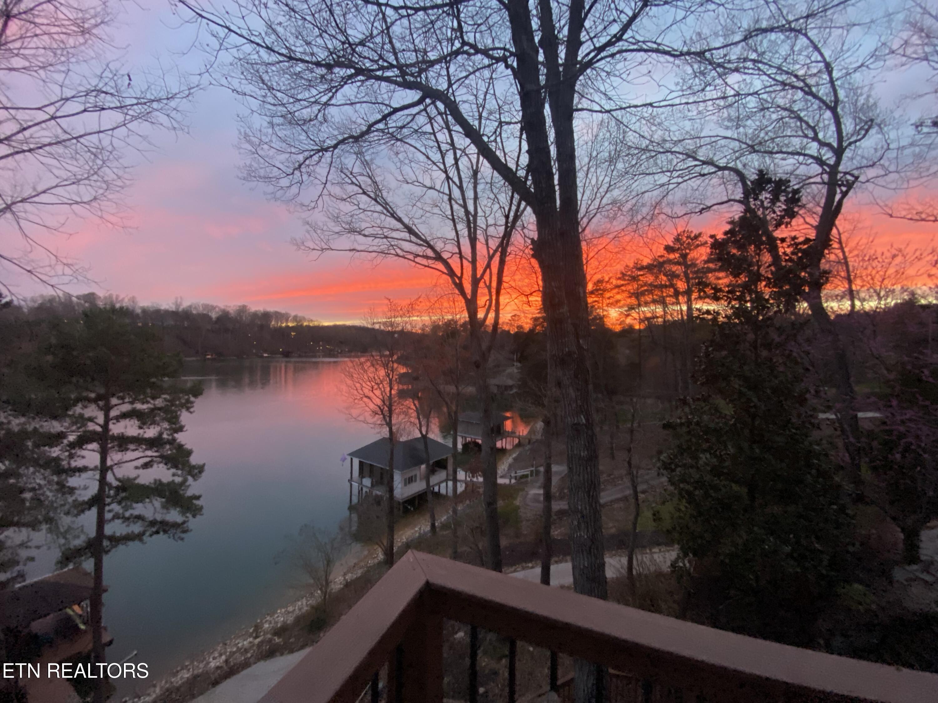 207 Amega Trace Loudon TN 37774