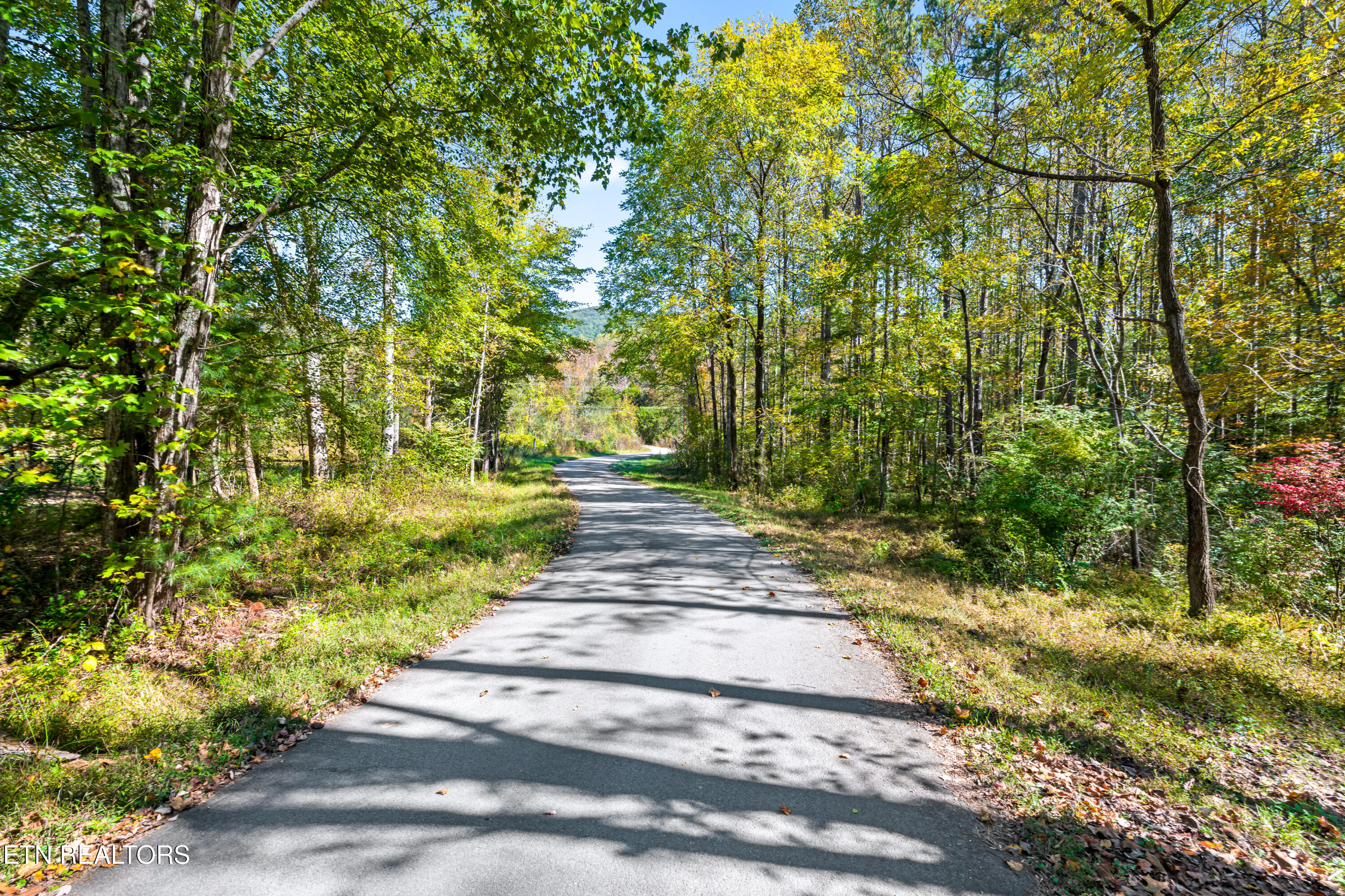 110 Beech Fork Lane Wartburg TN 37887