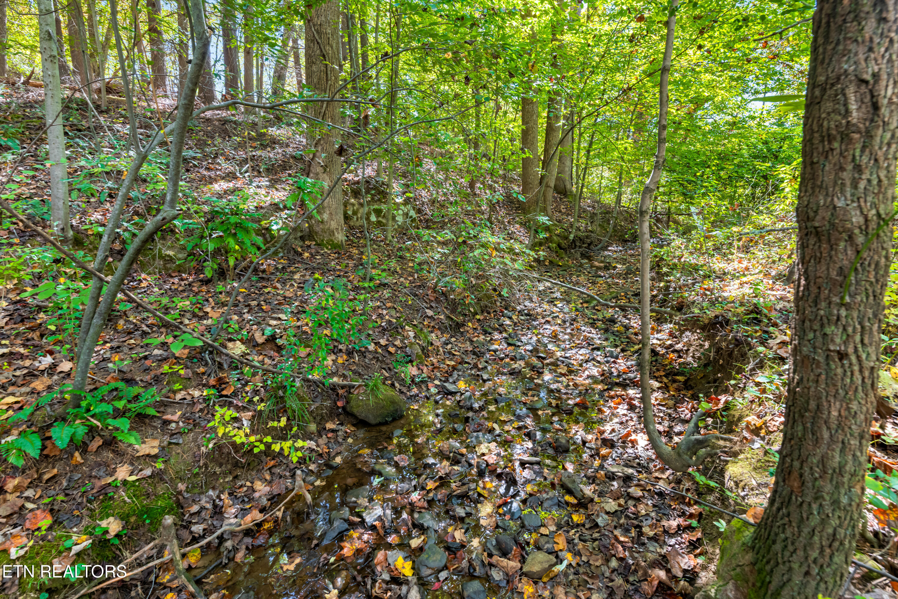 110 Beech Fork Lane Wartburg TN 37887