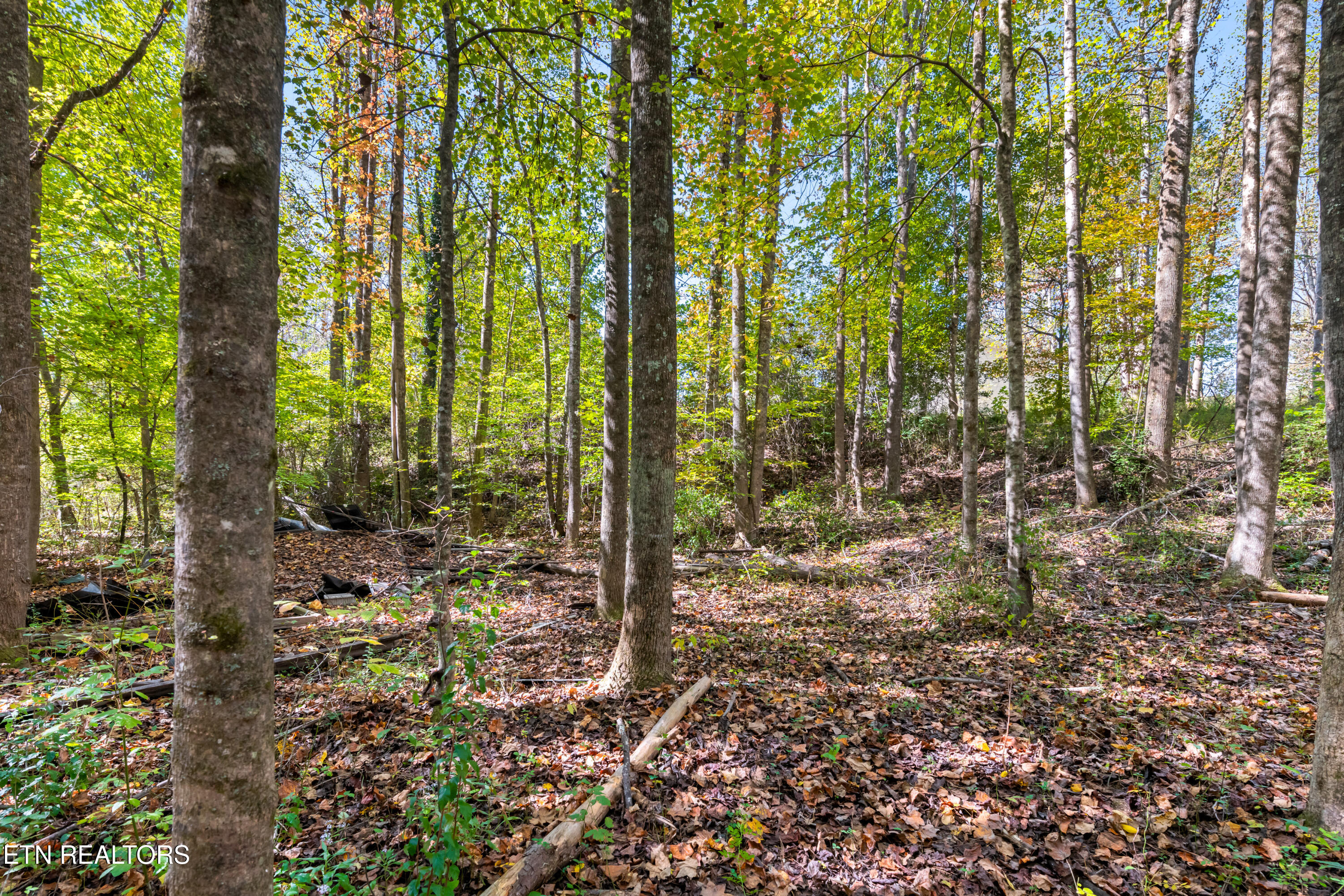 110 Beech Fork Lane Wartburg TN 37887