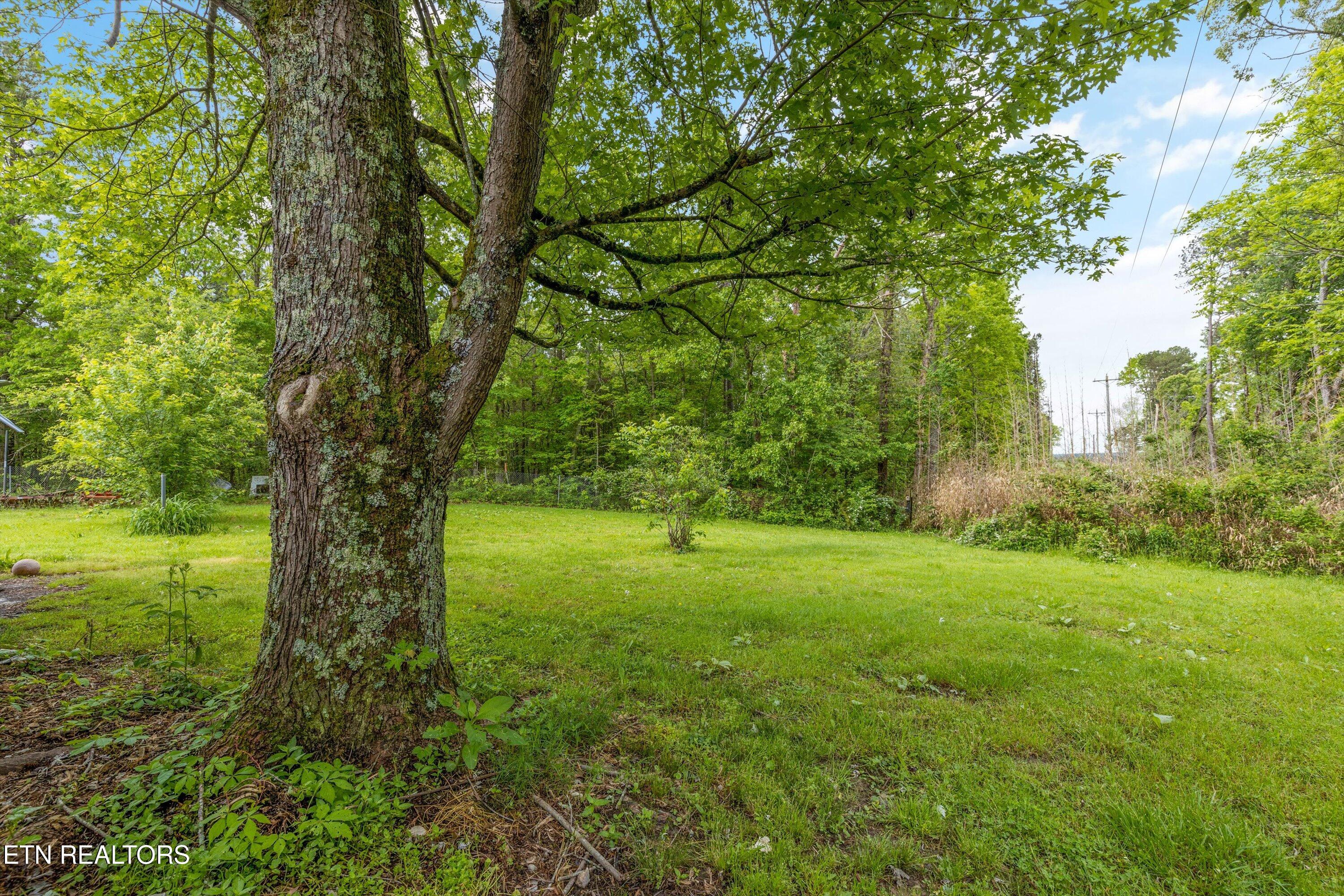 9438 Morgan County Highway Sunbright TN 37872
