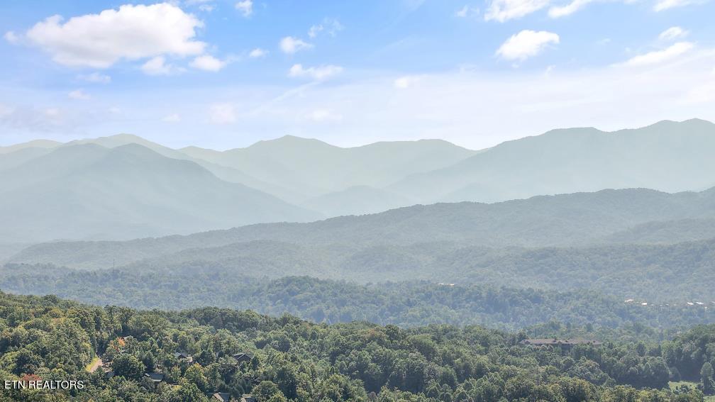 1103 Villa Lane Gatlinburg TN 37738