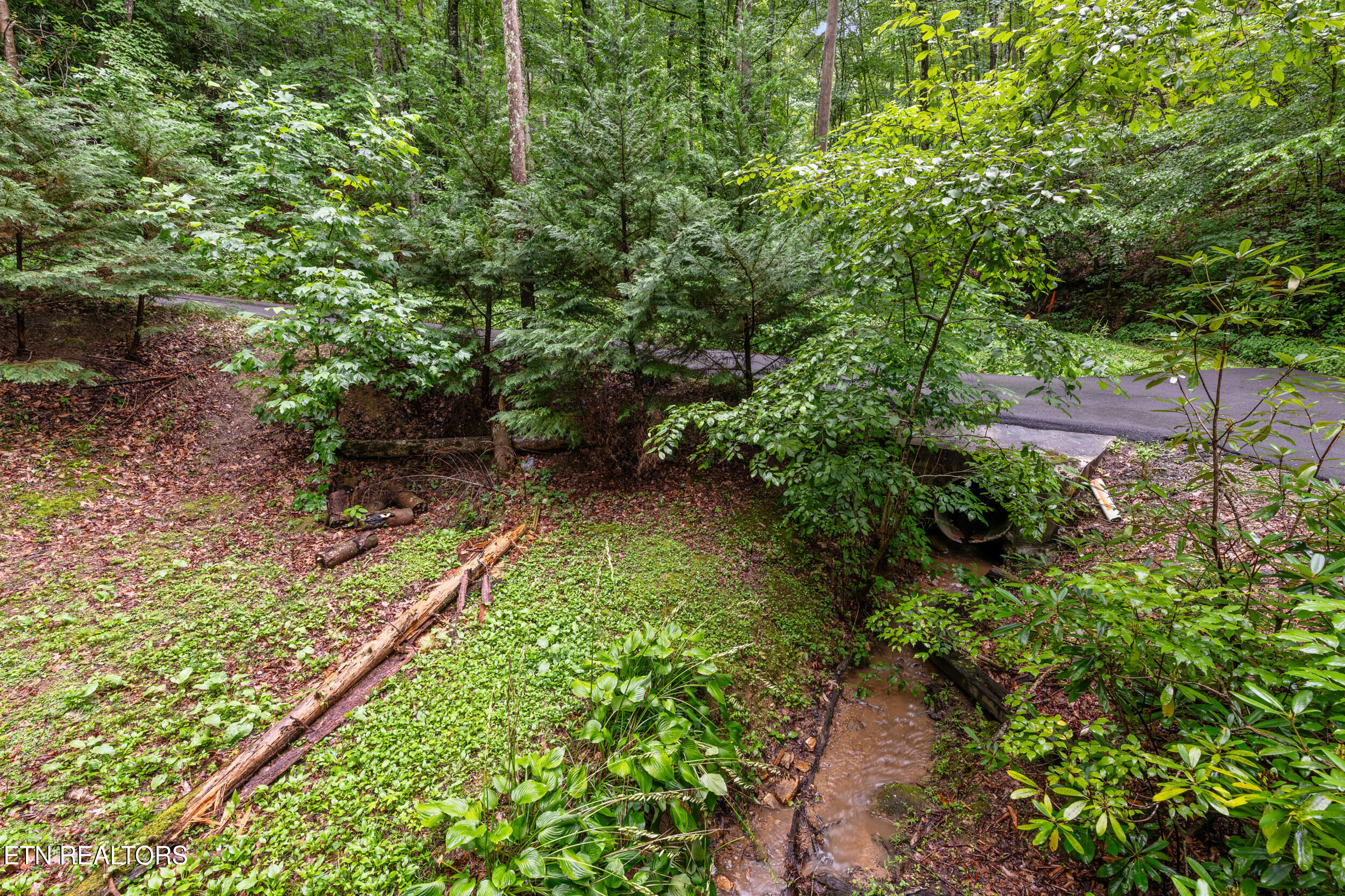 1823 Laurel Valley Way Sevierville TN 37862