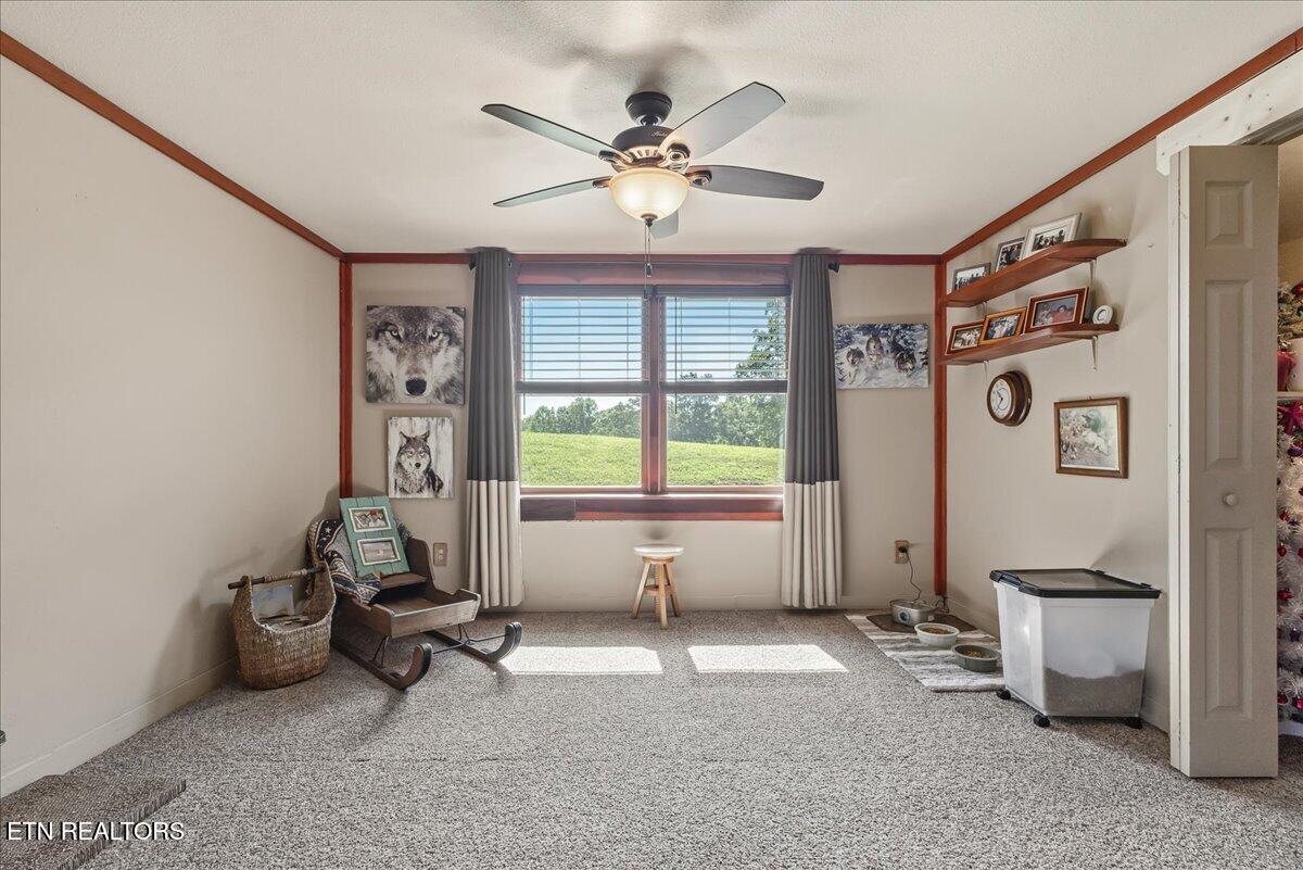 910 Reagan Valley Road Tellico Plains TN 37385