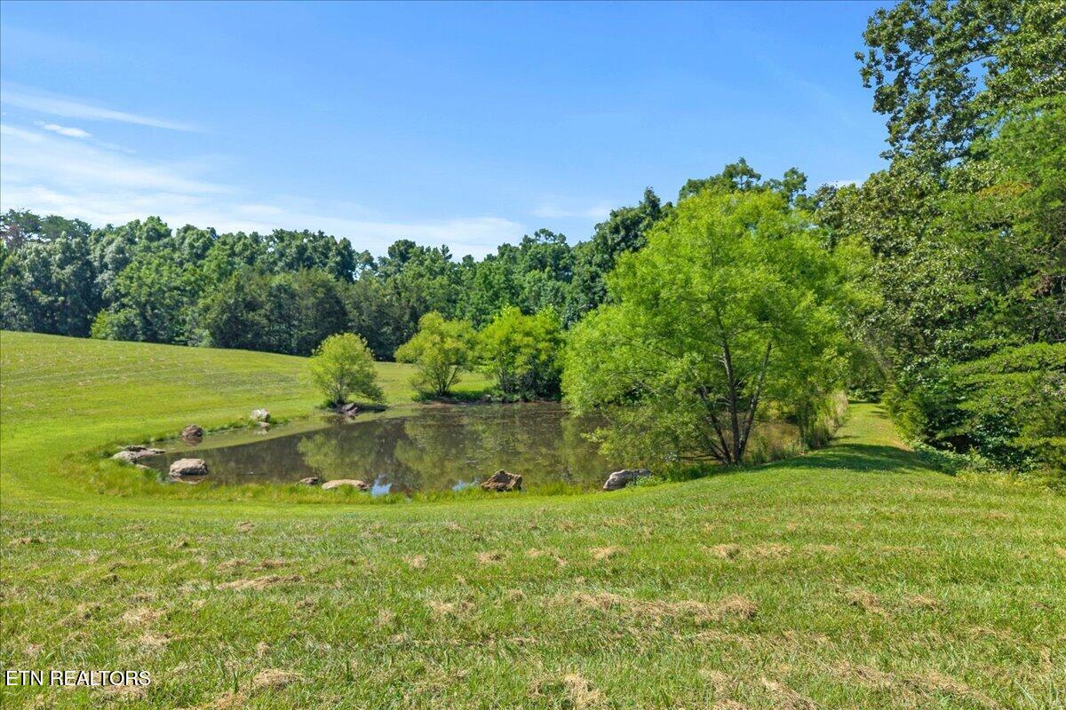 910 Reagan Valley Road Tellico Plains TN 37385