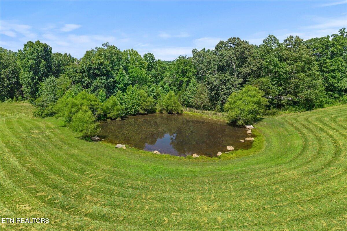 910 Reagan Valley Road Tellico Plains TN 37385