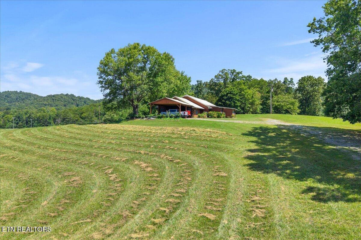 910 Reagan Valley Road Tellico Plains TN 37385