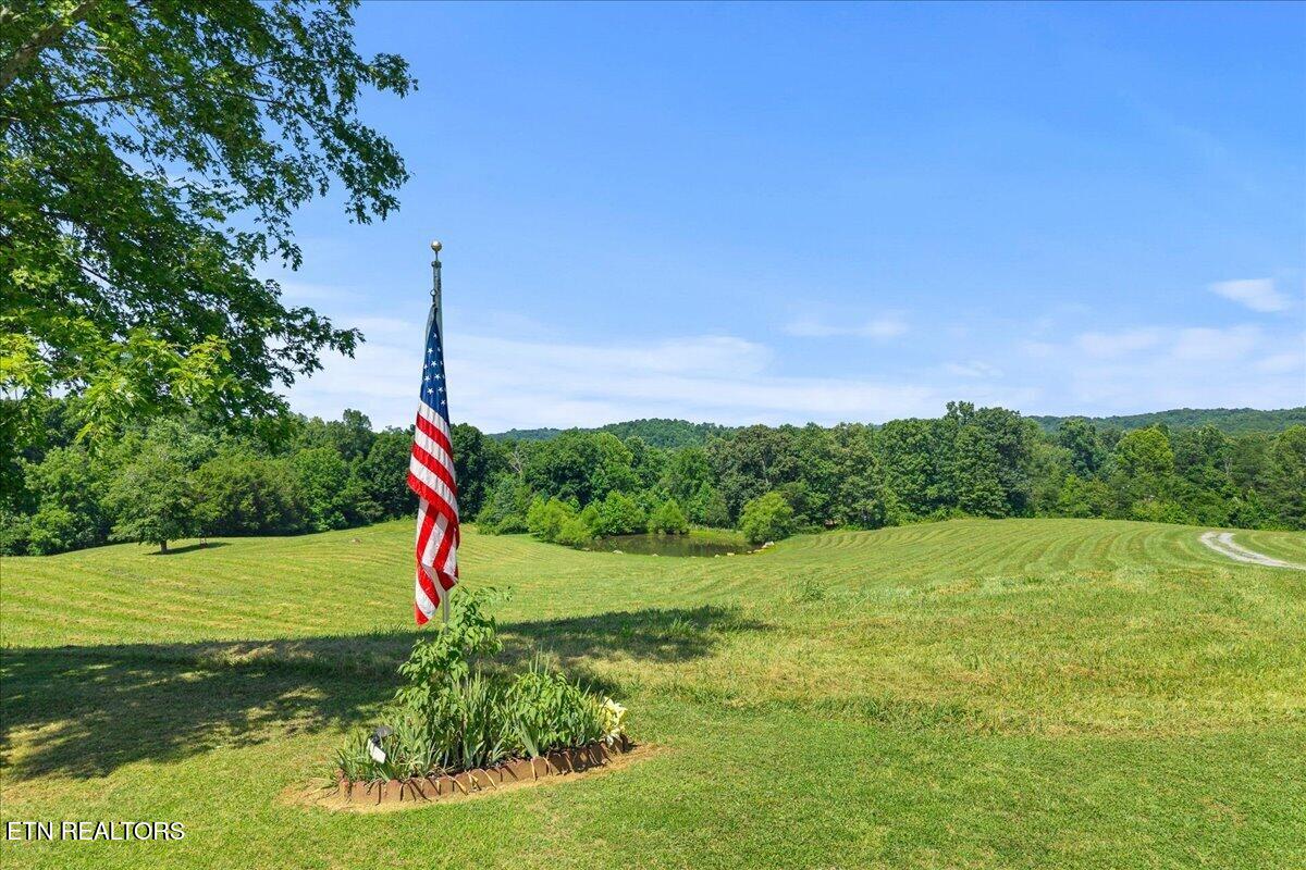 910 Reagan Valley Road Tellico Plains TN 37385