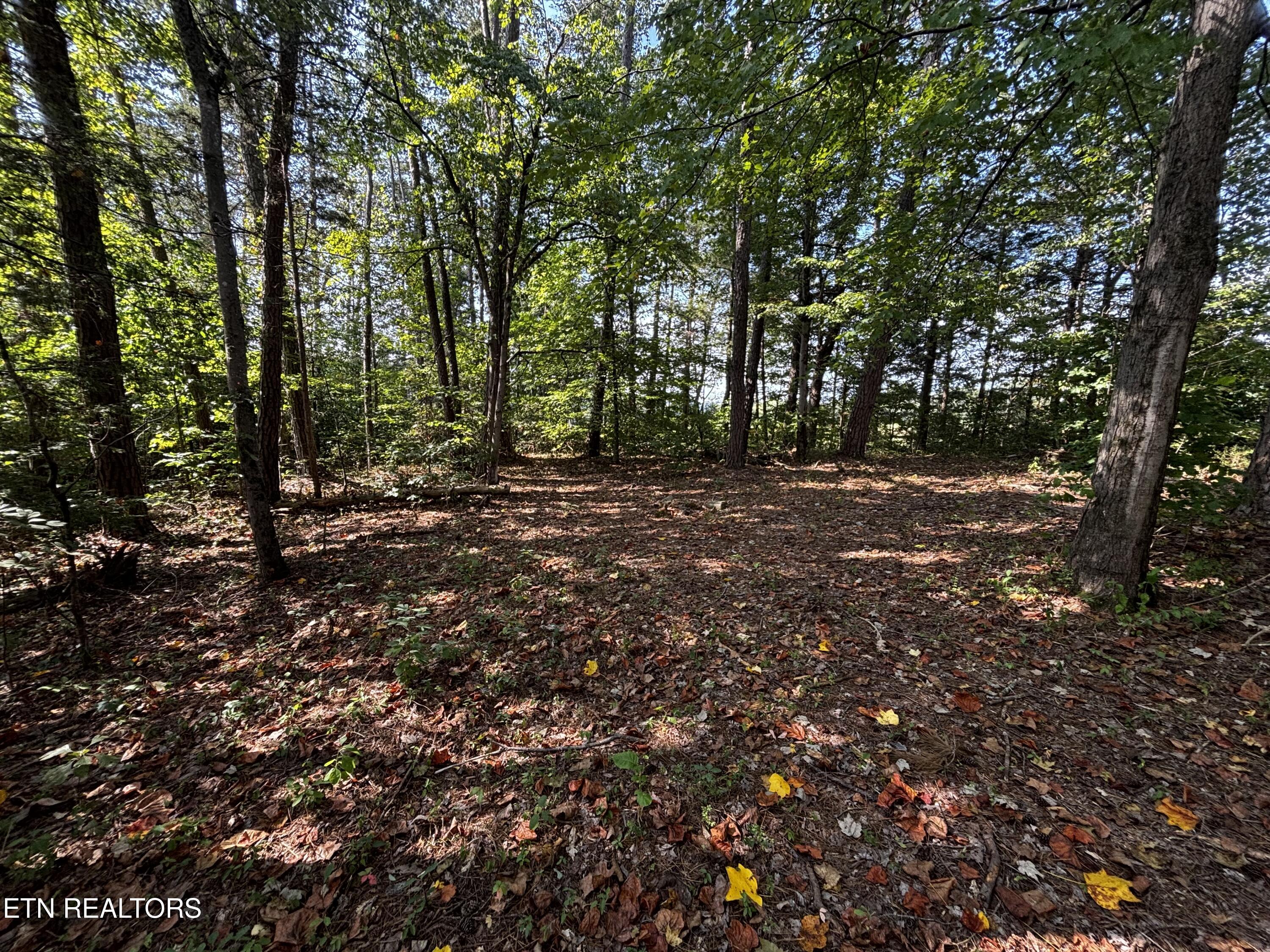6422 Tazewell Pike Knoxville TN 37918