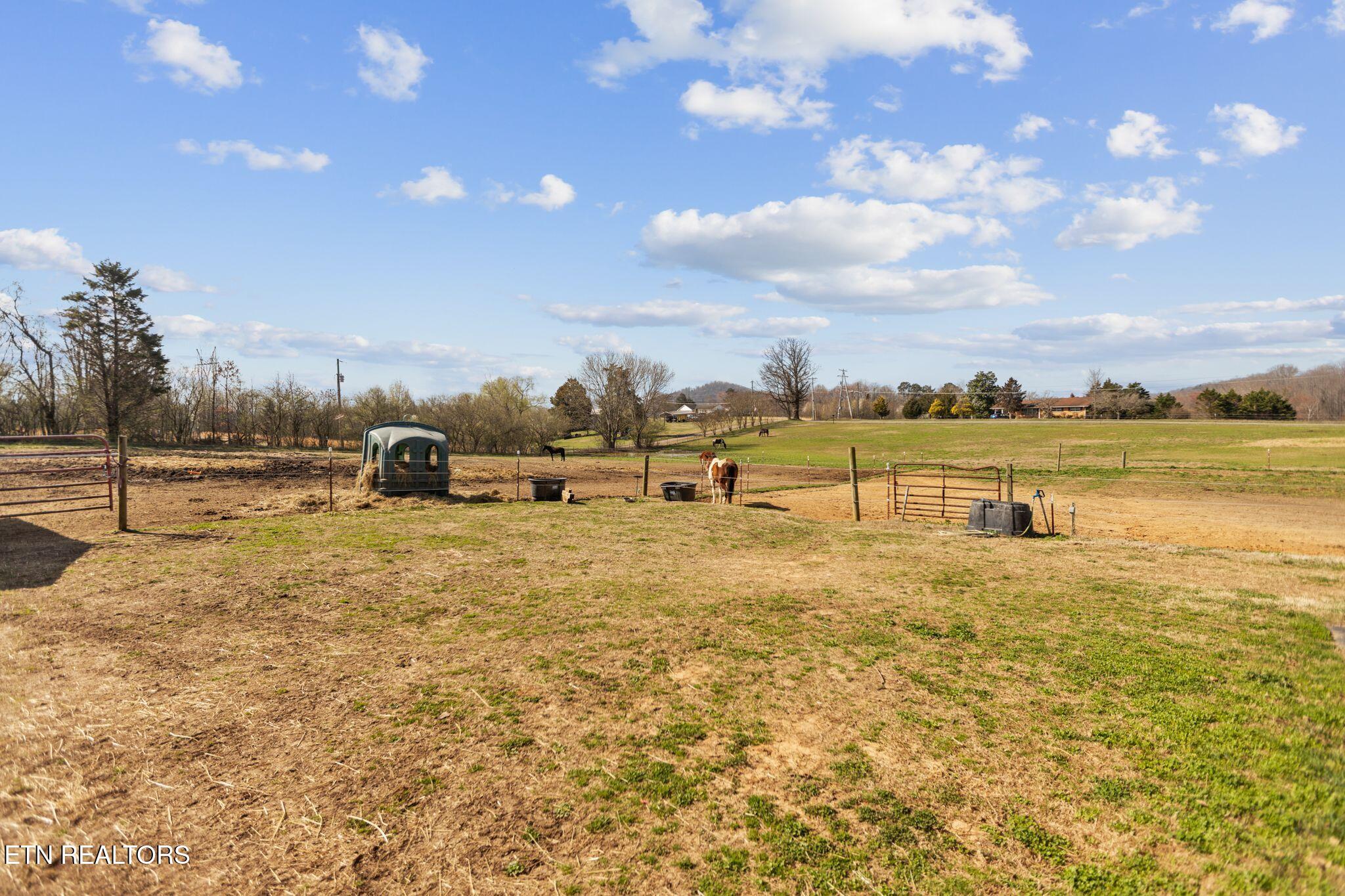 786 Swan Pond Circle Road Harriman TN 37748