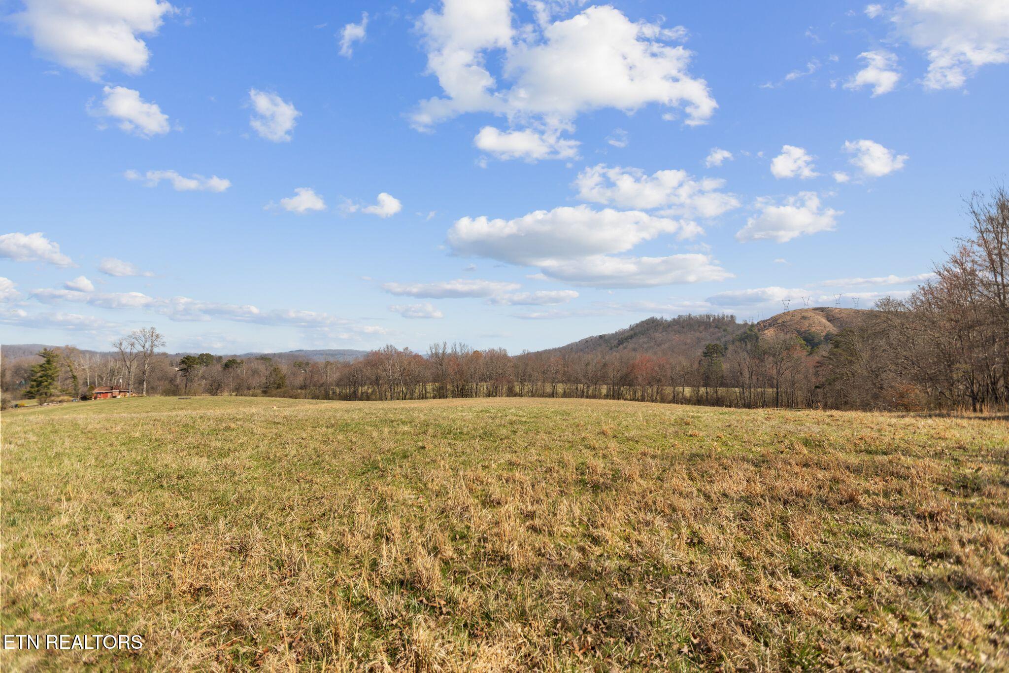 786 Swan Pond Circle Road Harriman TN 37748