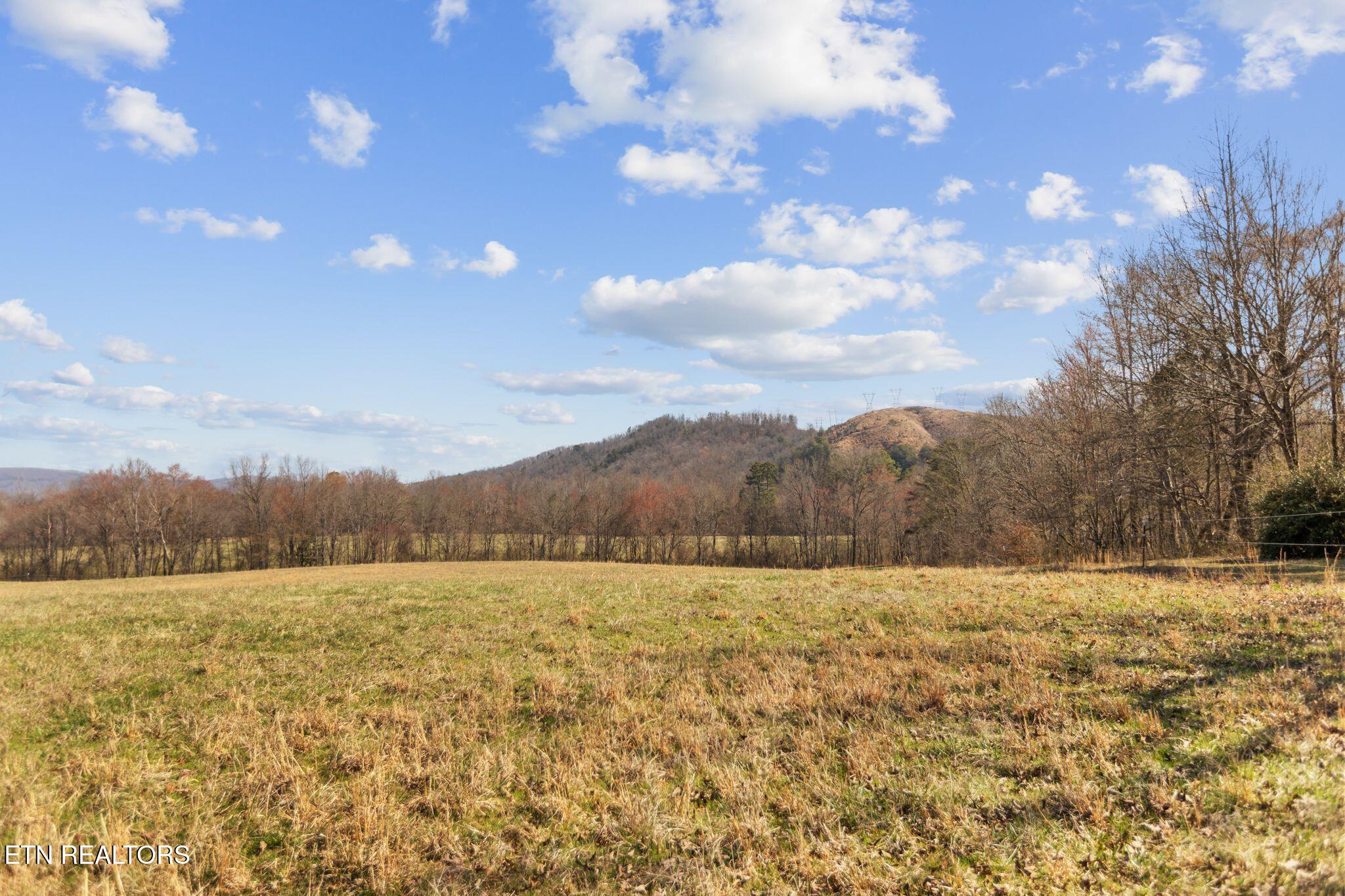 786 Swan Pond Circle Road Harriman TN 37748