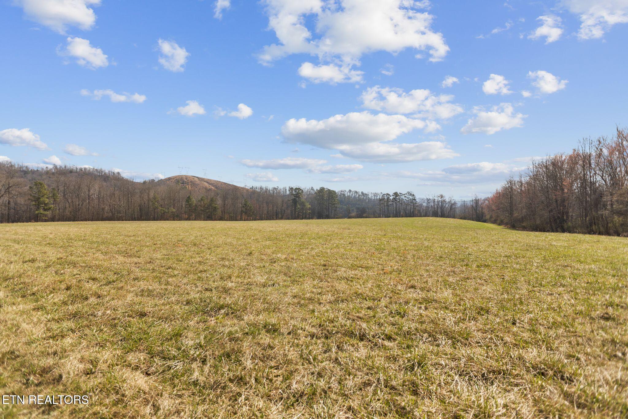 786 Swan Pond Circle Road Harriman TN 37748
