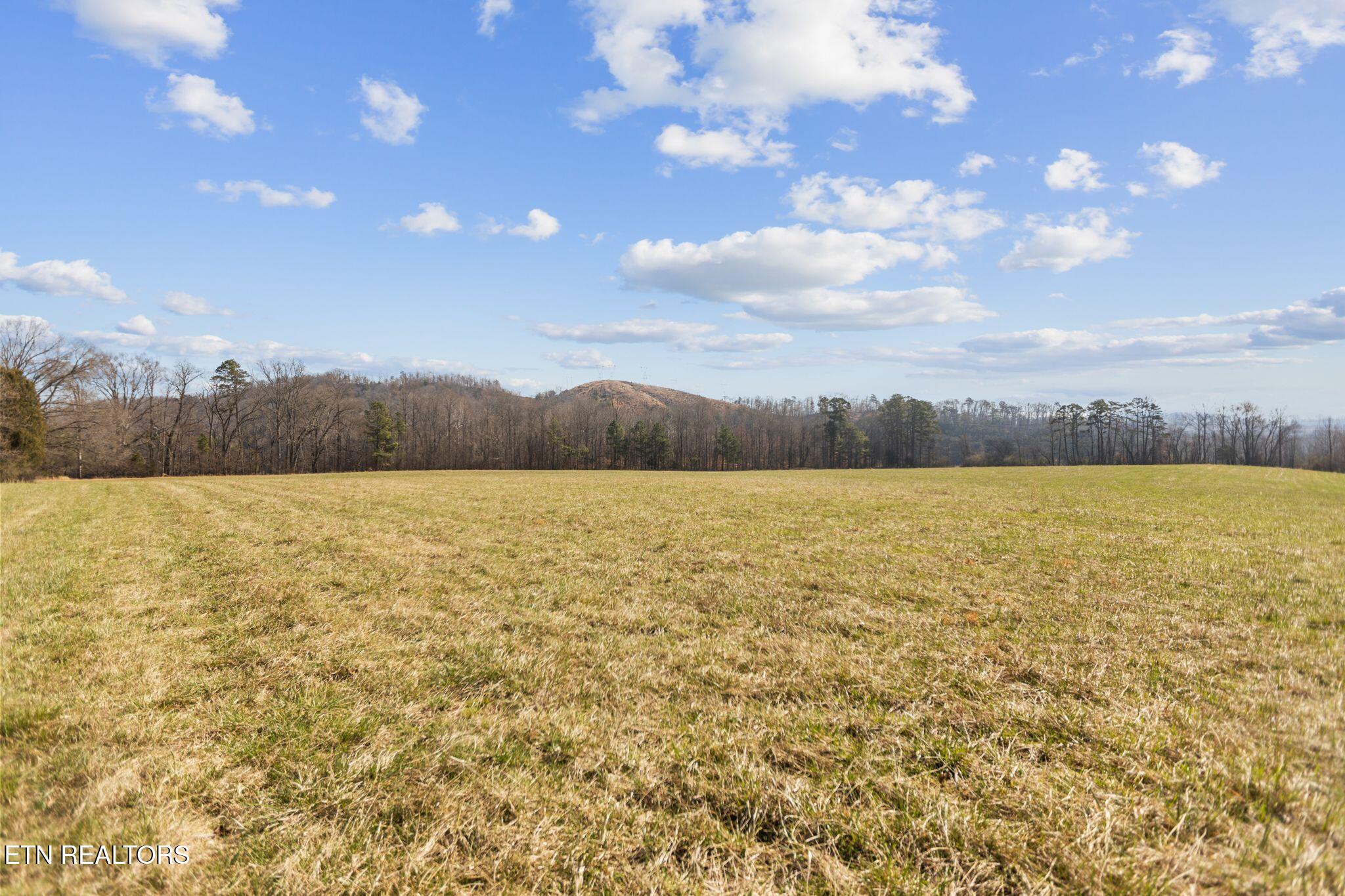 786 Swan Pond Circle Road Harriman TN 37748