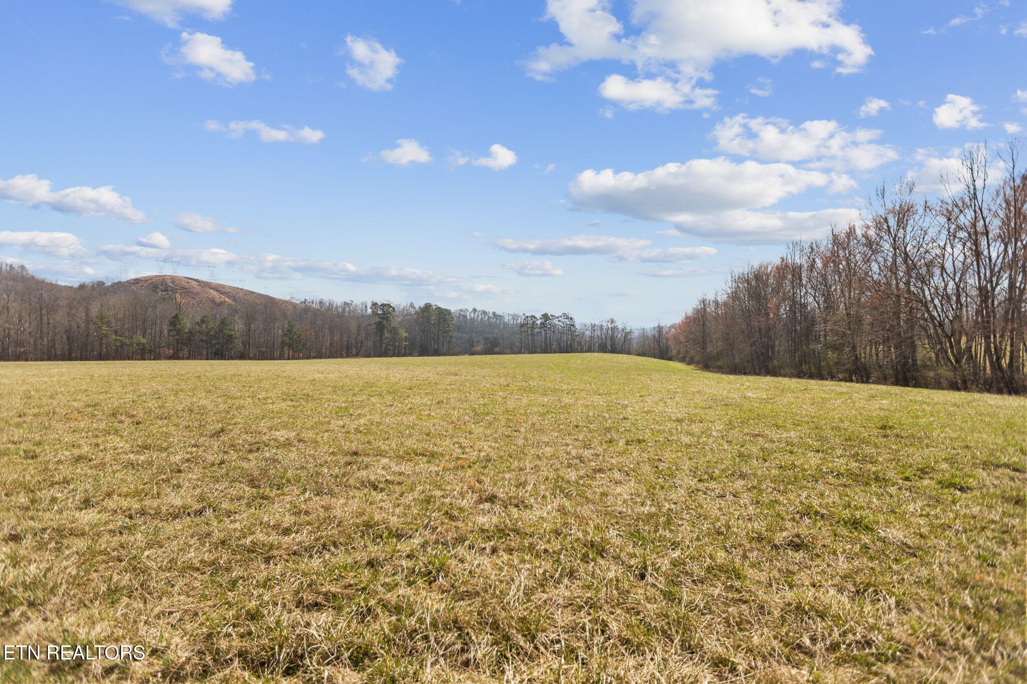 786 Swan Pond Circle Road Harriman TN 37748