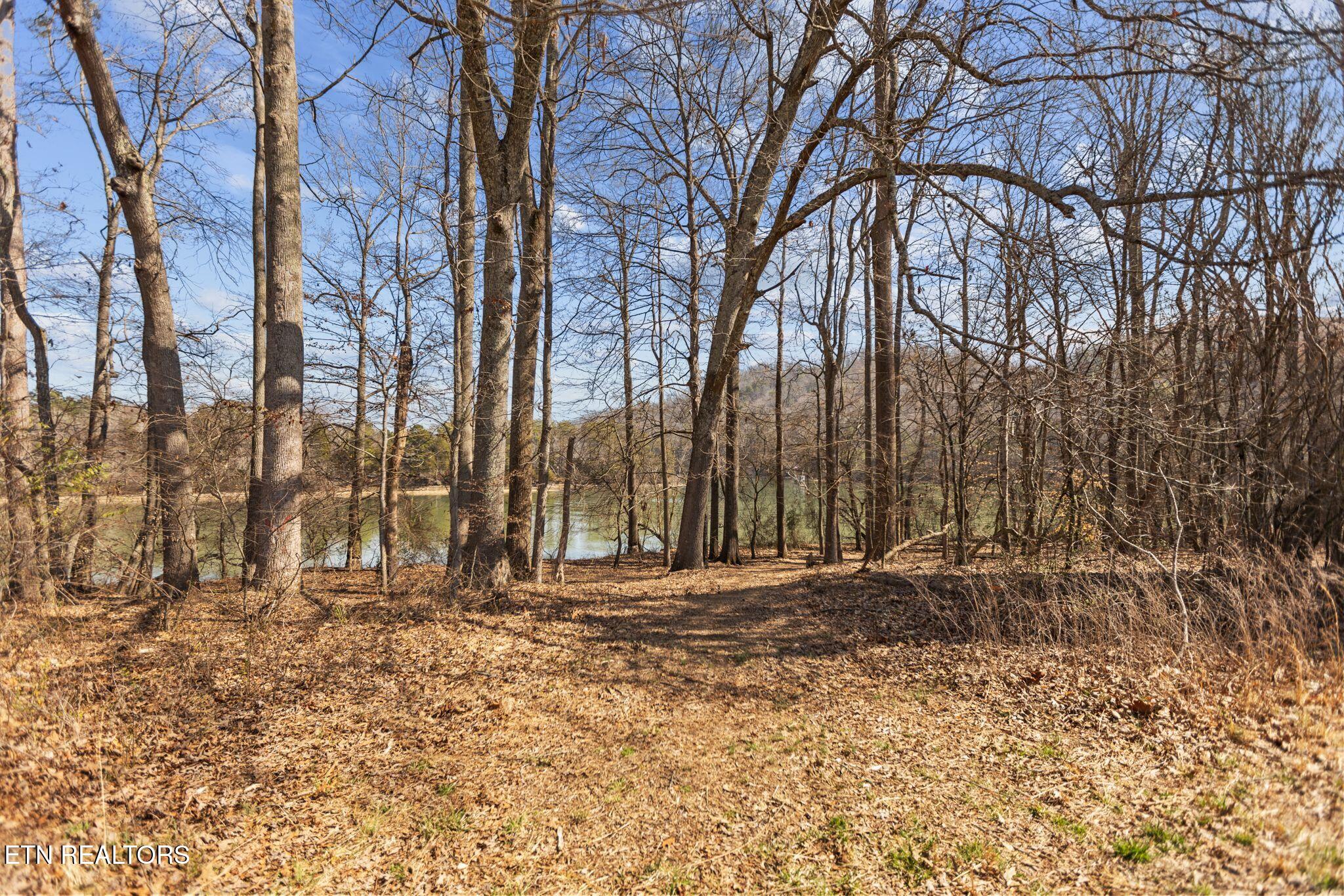 786 Swan Pond Circle Road Harriman TN 37748