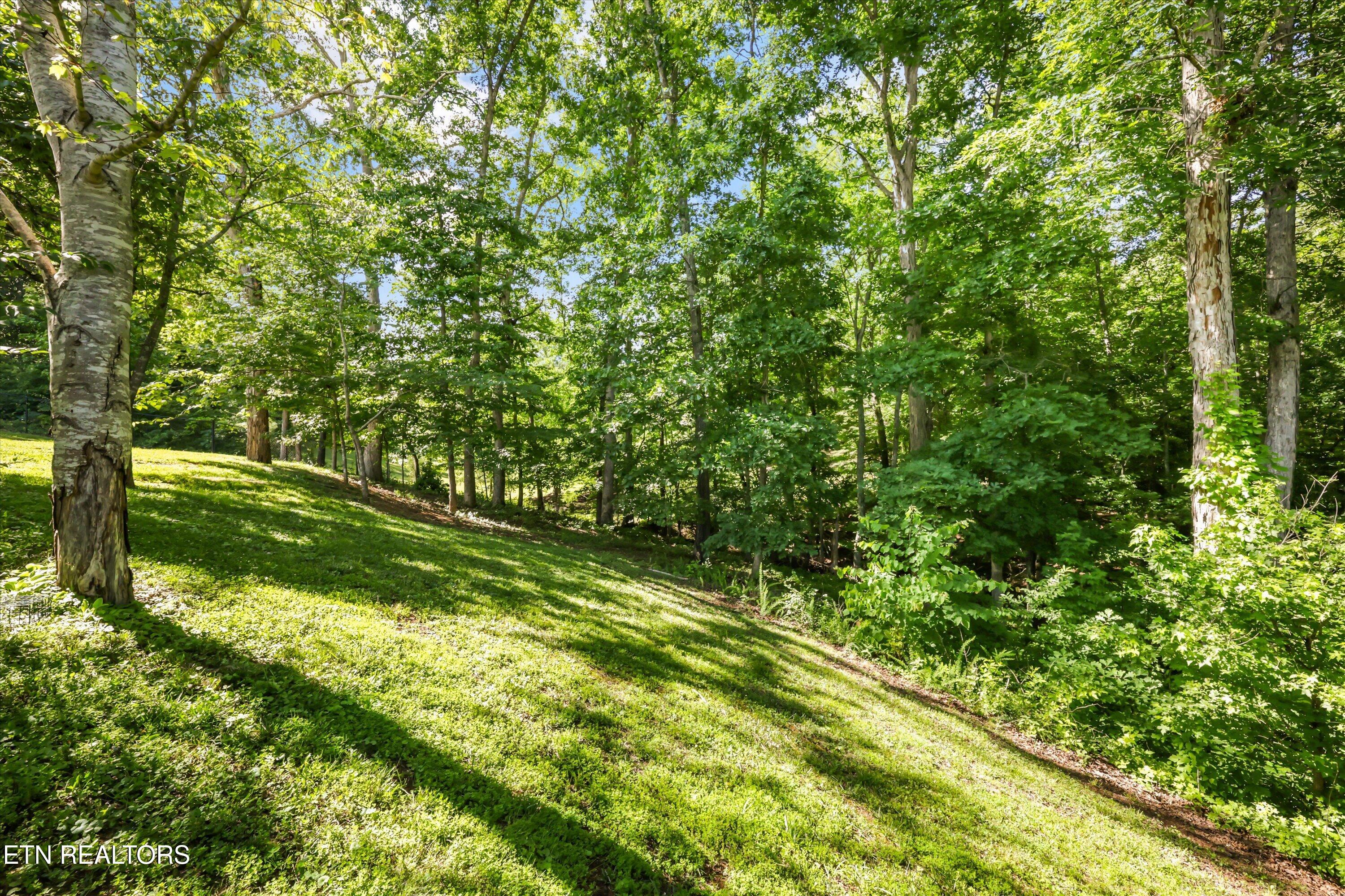 314 Homestead Court Kingston TN 37763