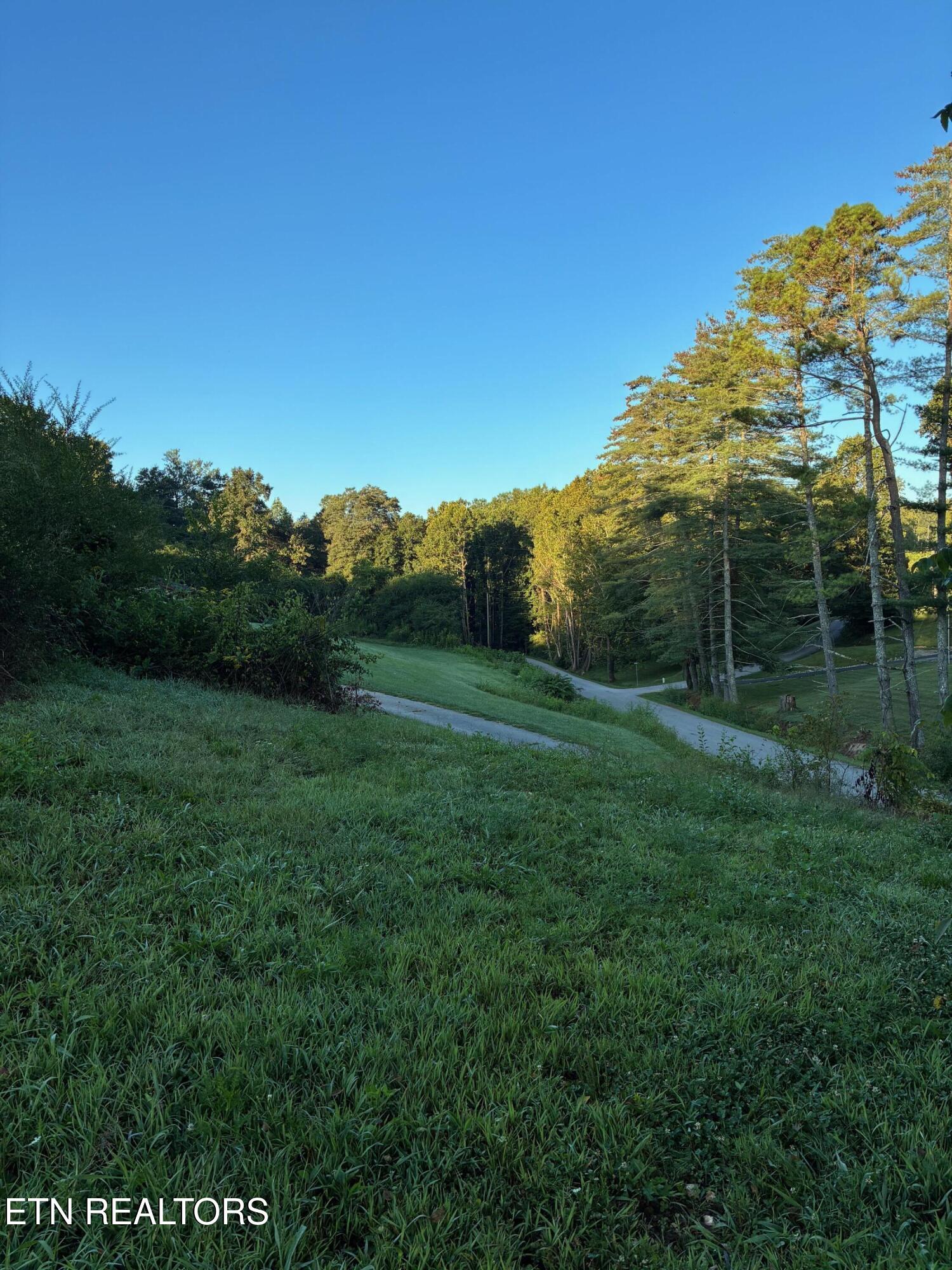 519 Whitman Hollow Road Lafollette TN 37766