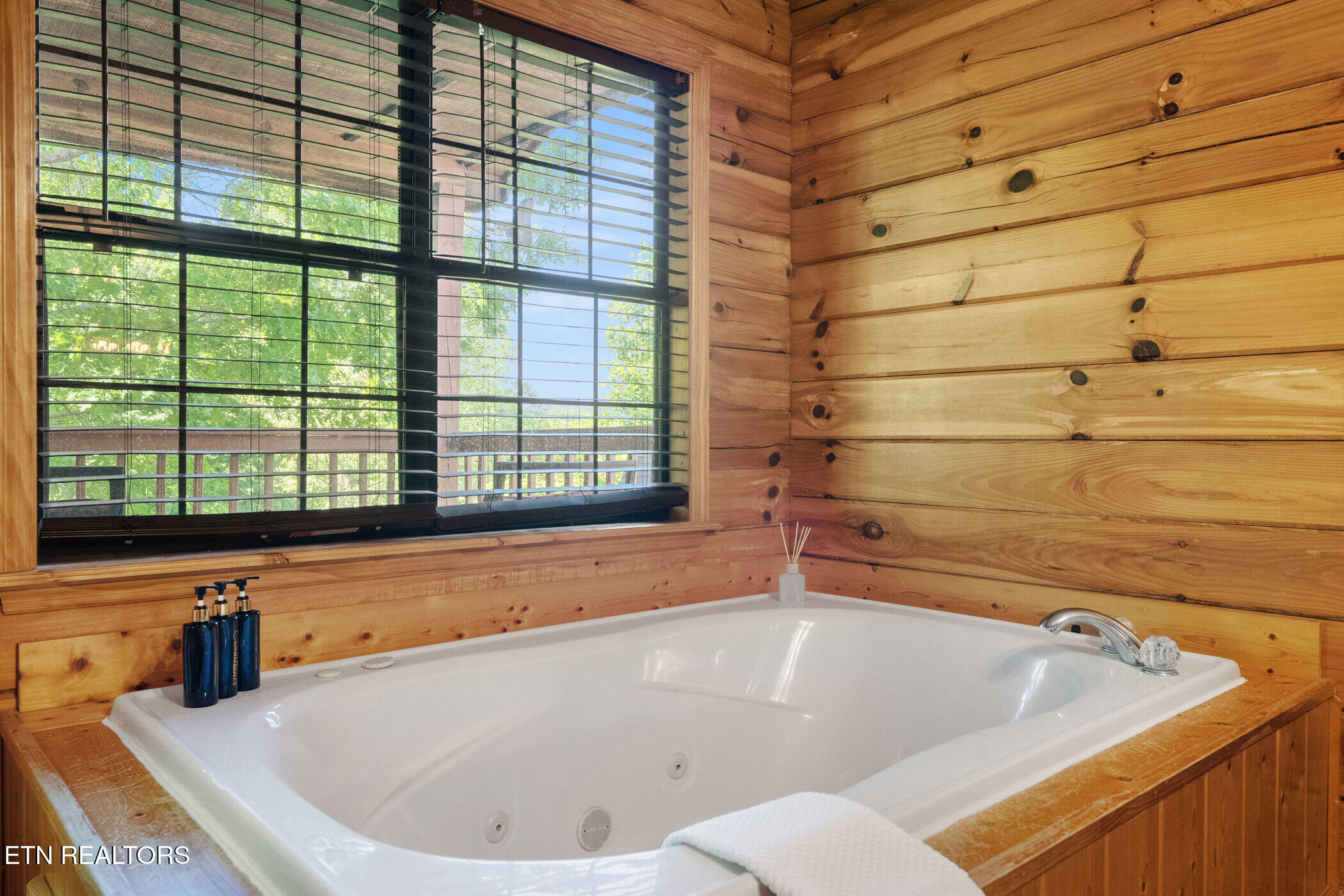 1538 Bears Den Way Sevierville TN 37862