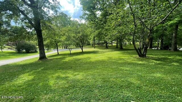 572 S Lake Drive Oneida TN 37841