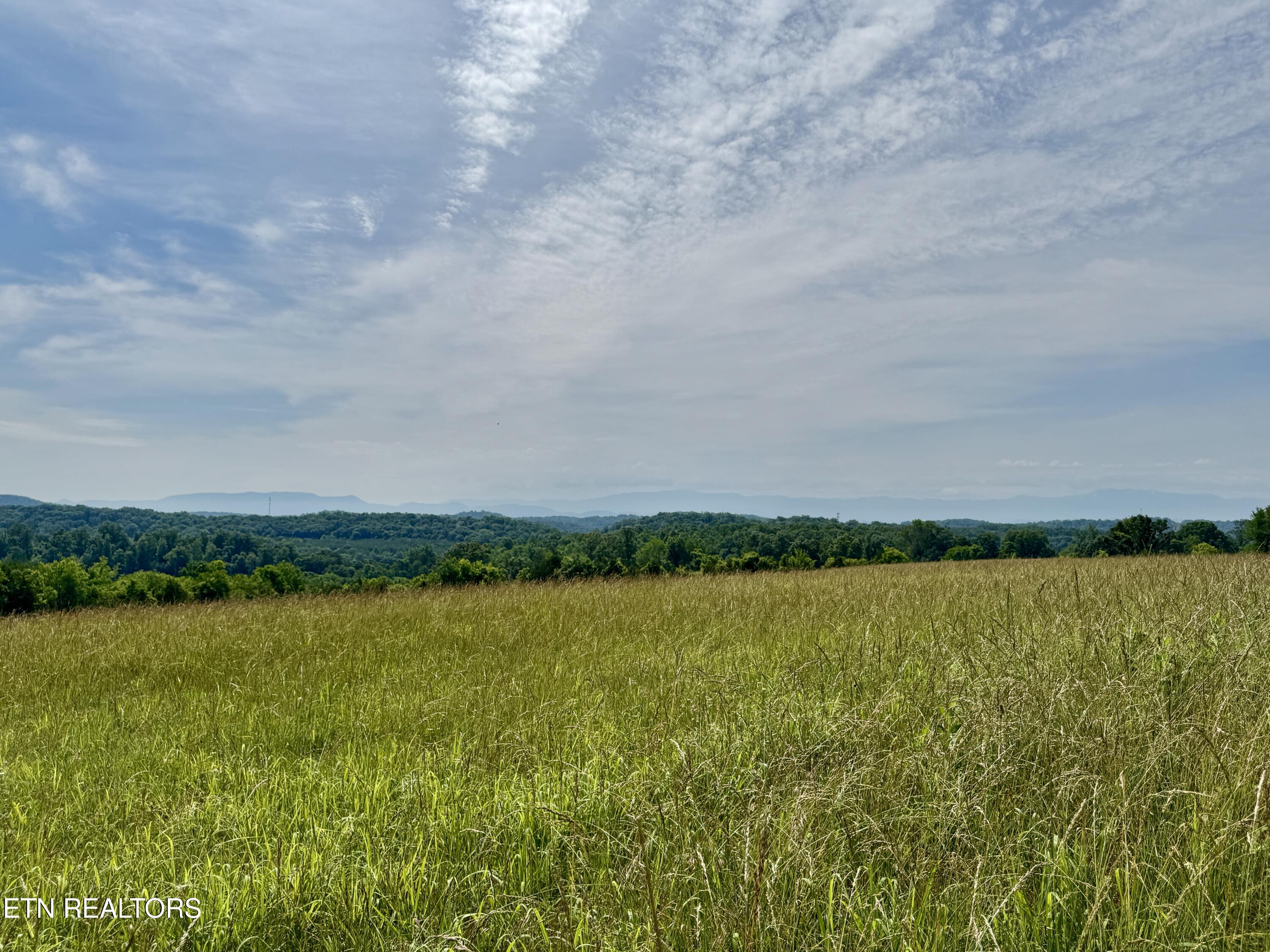 297 Mountain Meadows Drive New Market TN 37820