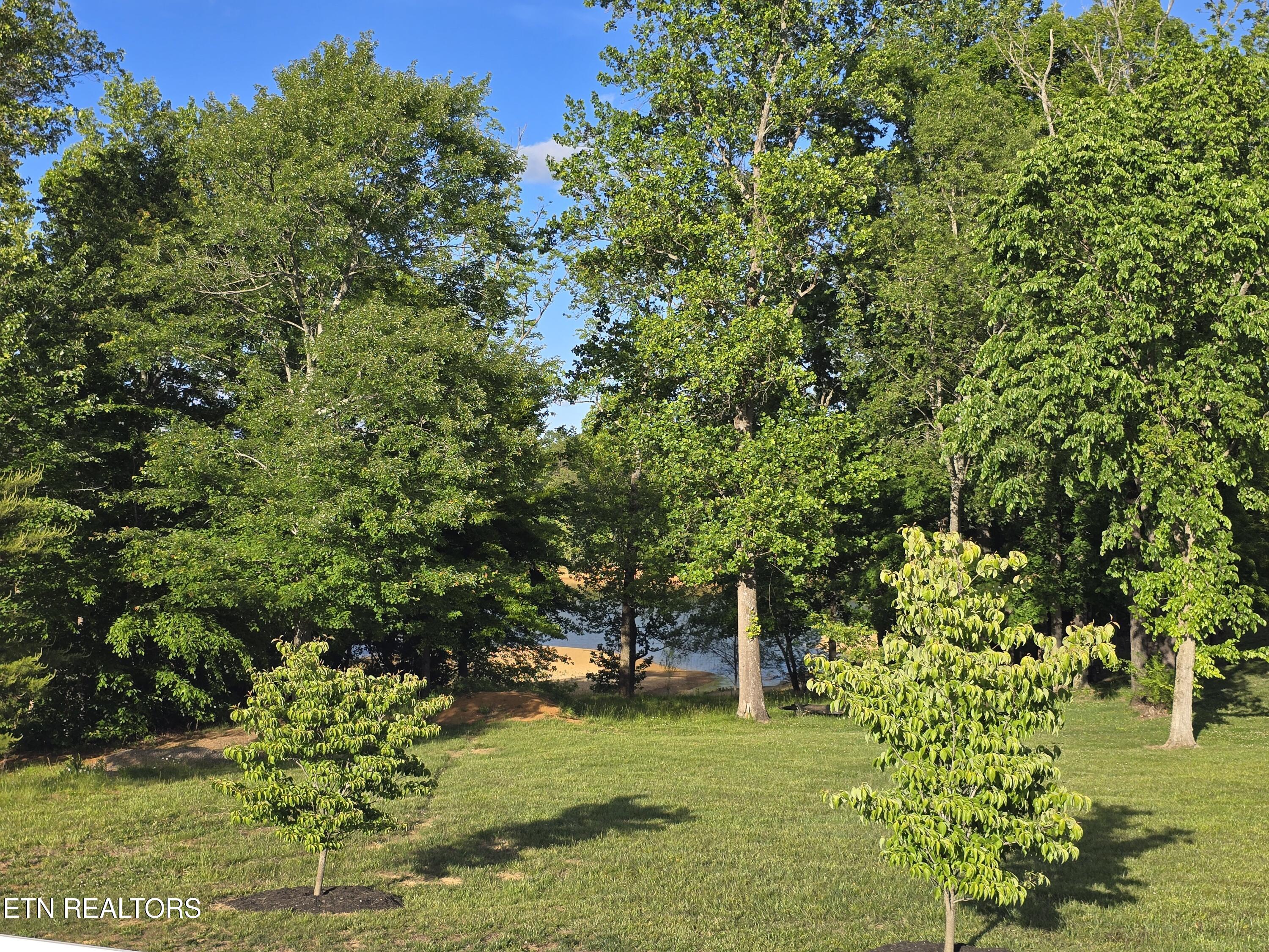 524 Shields Crossing Drive Bean Station TN 37708