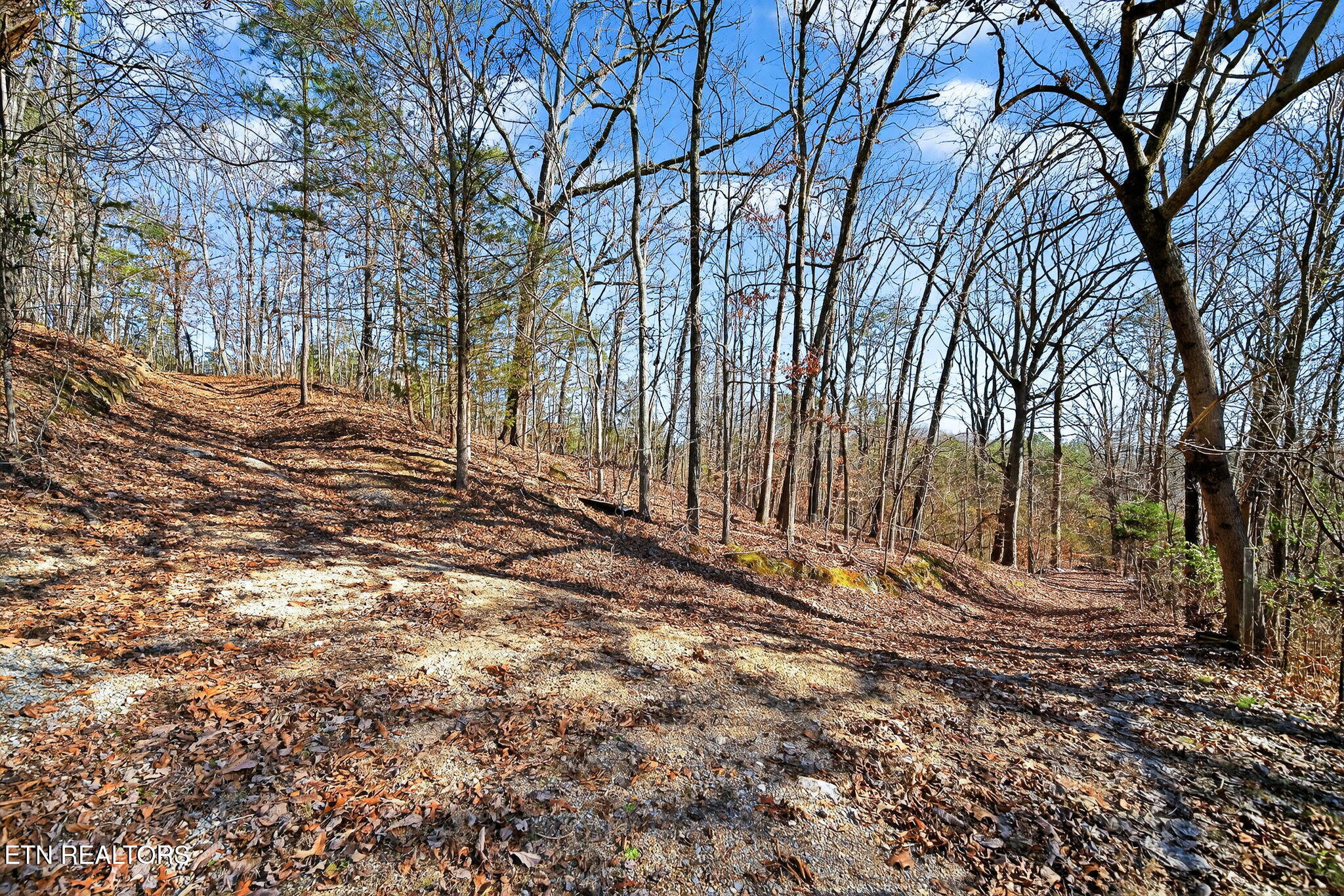 1296 Paint Rock Road Kingston TN 37763