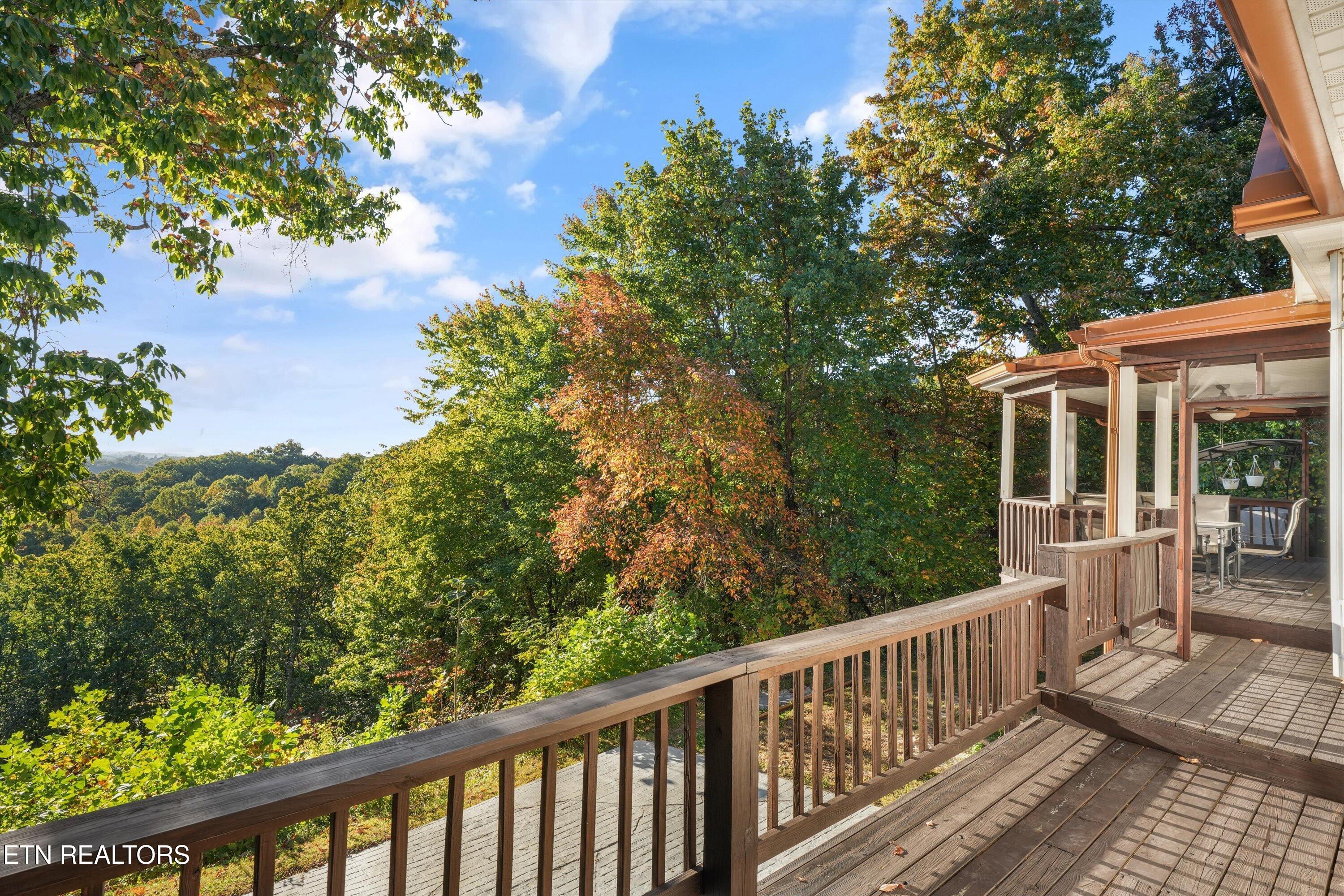 286 Bobcat Trail Caryville TN 37714
