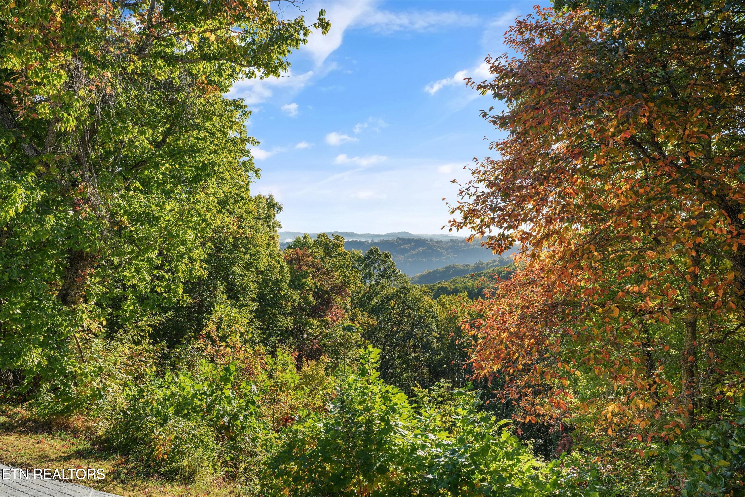 286 Bobcat Trail Caryville TN 37714
