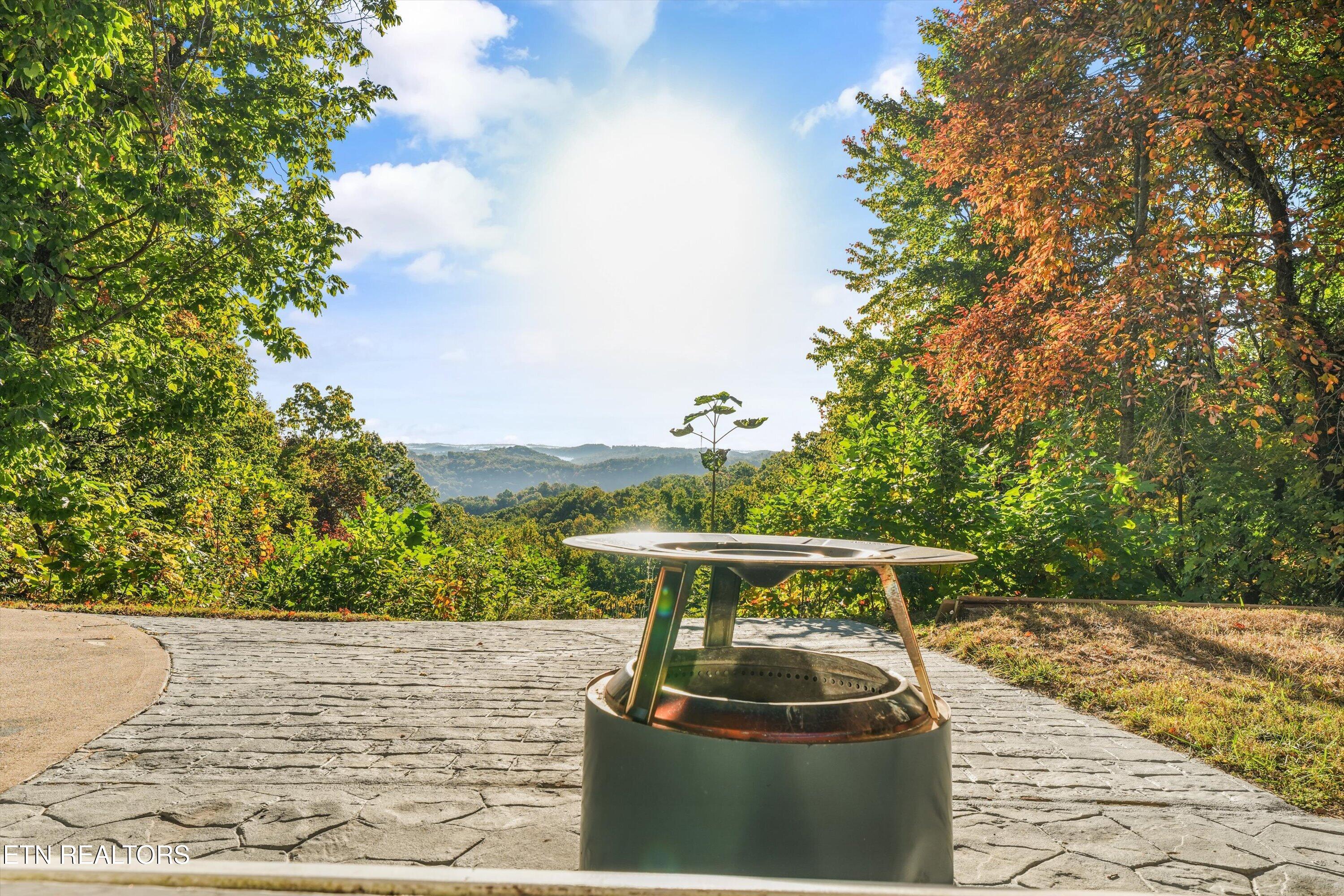 286 Bobcat Trail Caryville TN 37714