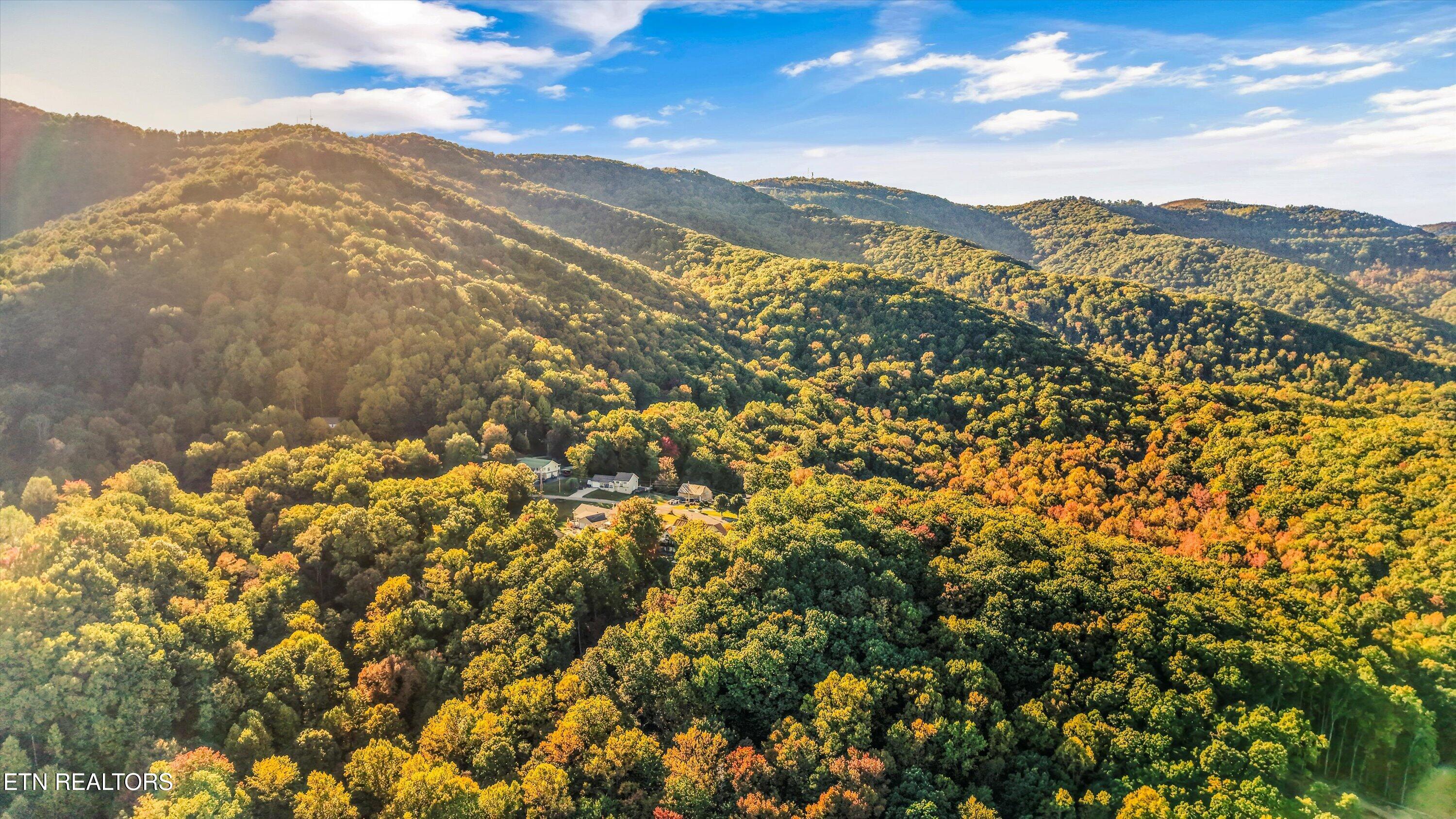 286 Bobcat Trail Caryville TN 37714
