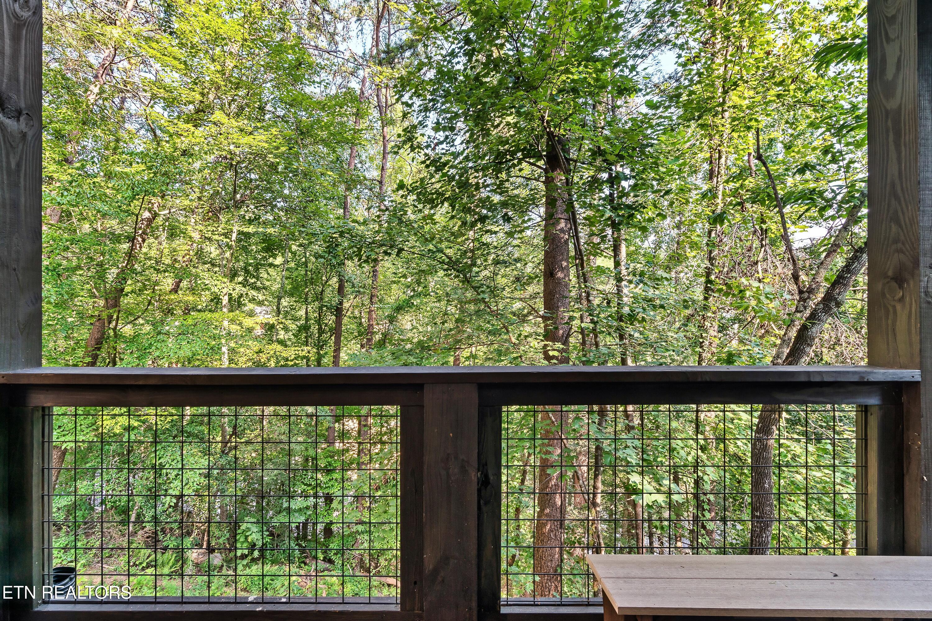 3504 Sandridge Way Pigeon Forge TN 37863
