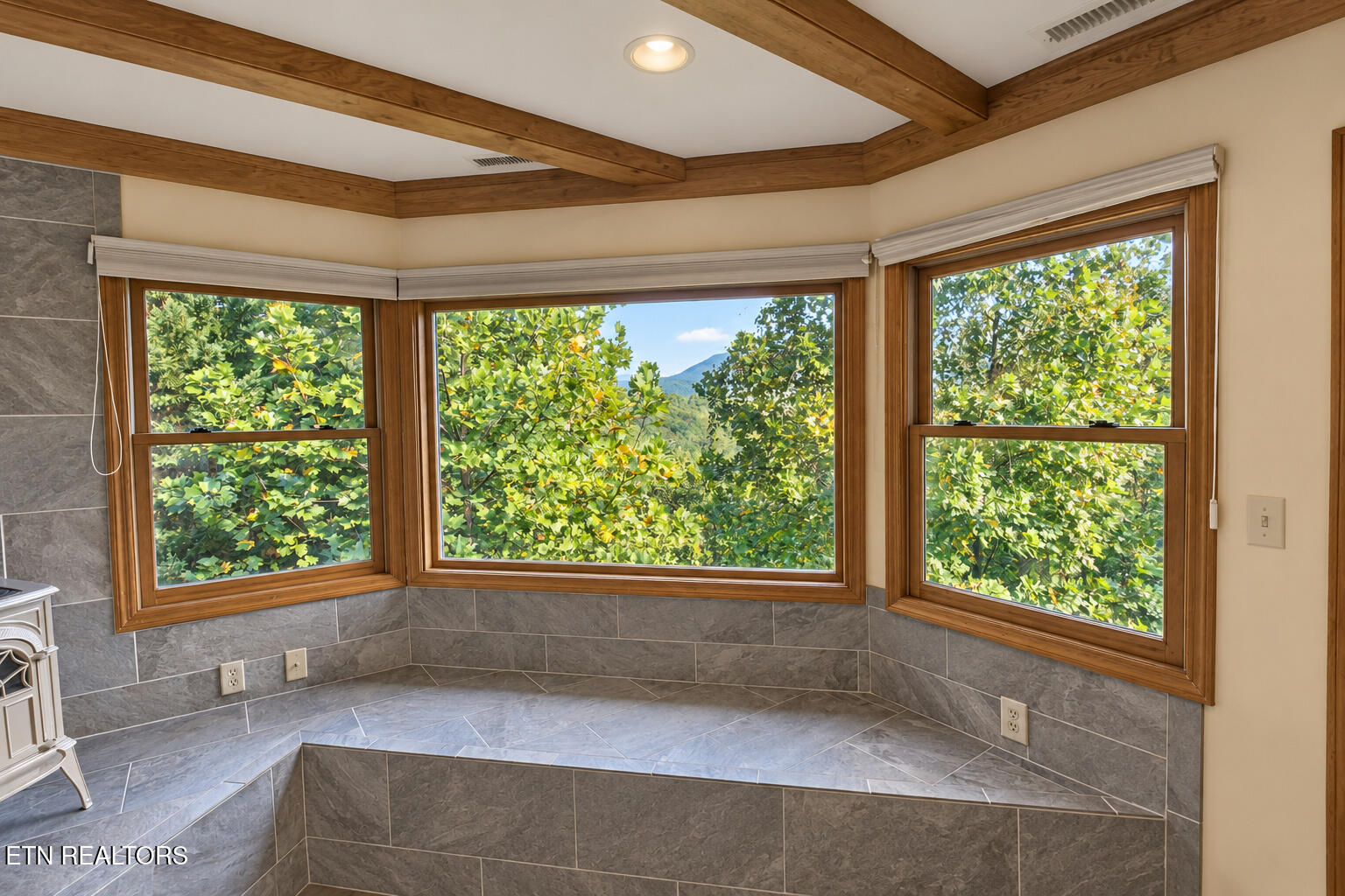 504 Matterhorn Drive Gatlinburg TN 37738
