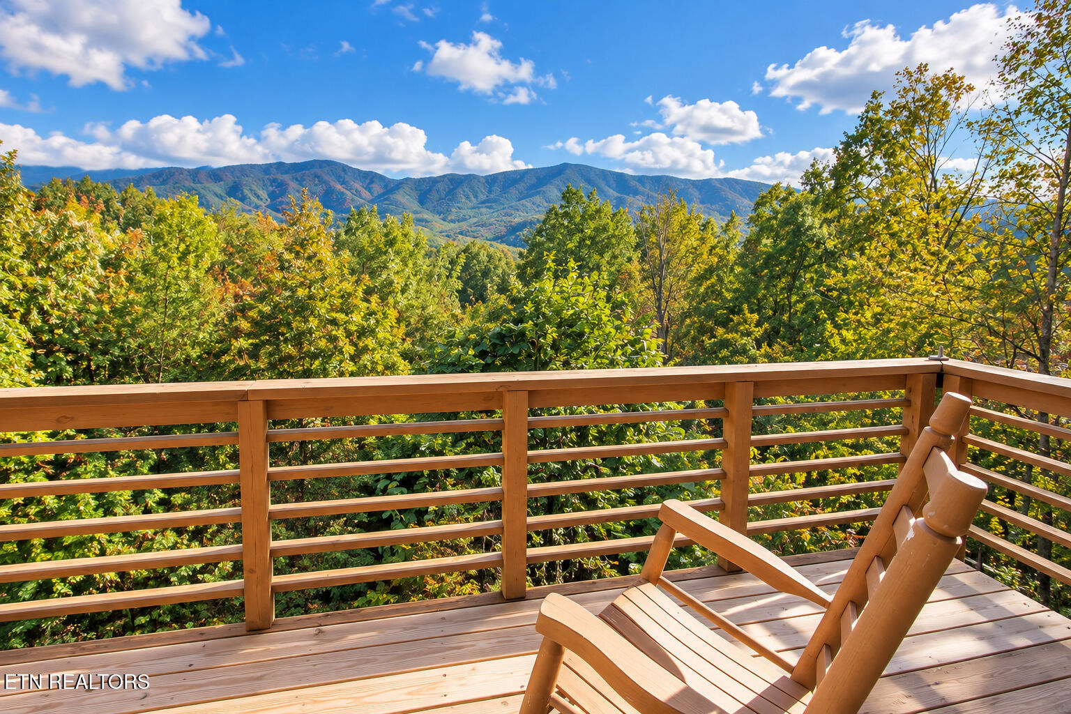 504 Matterhorn Drive Gatlinburg TN 37738