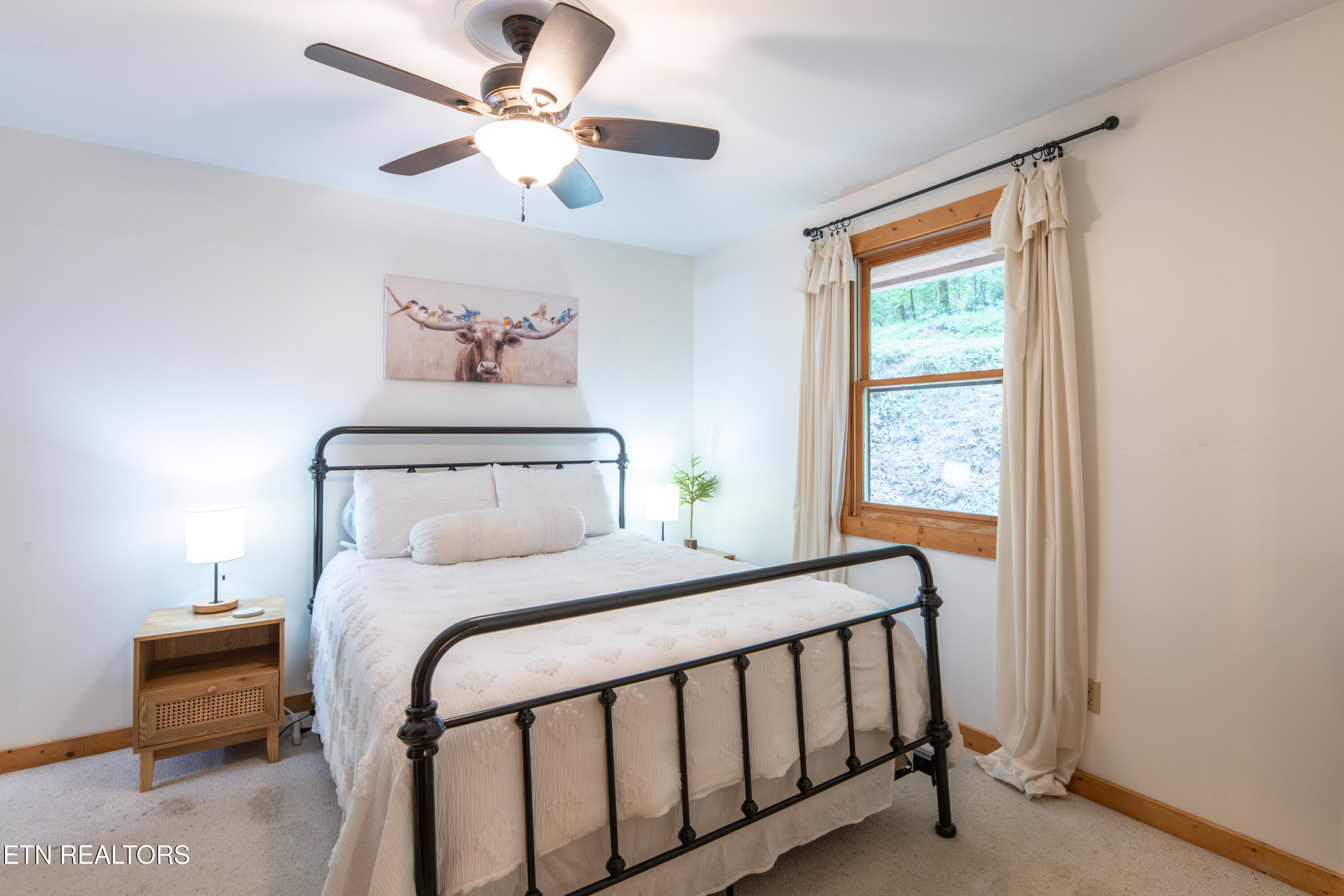 822 Christy Lane Townsend TN 37882